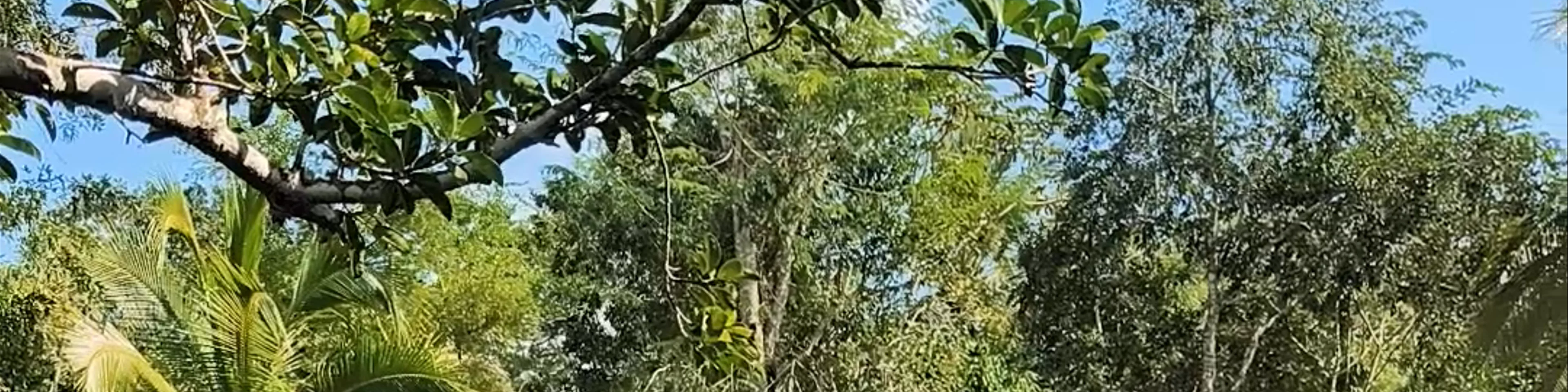 Cenote Popol Vuh
