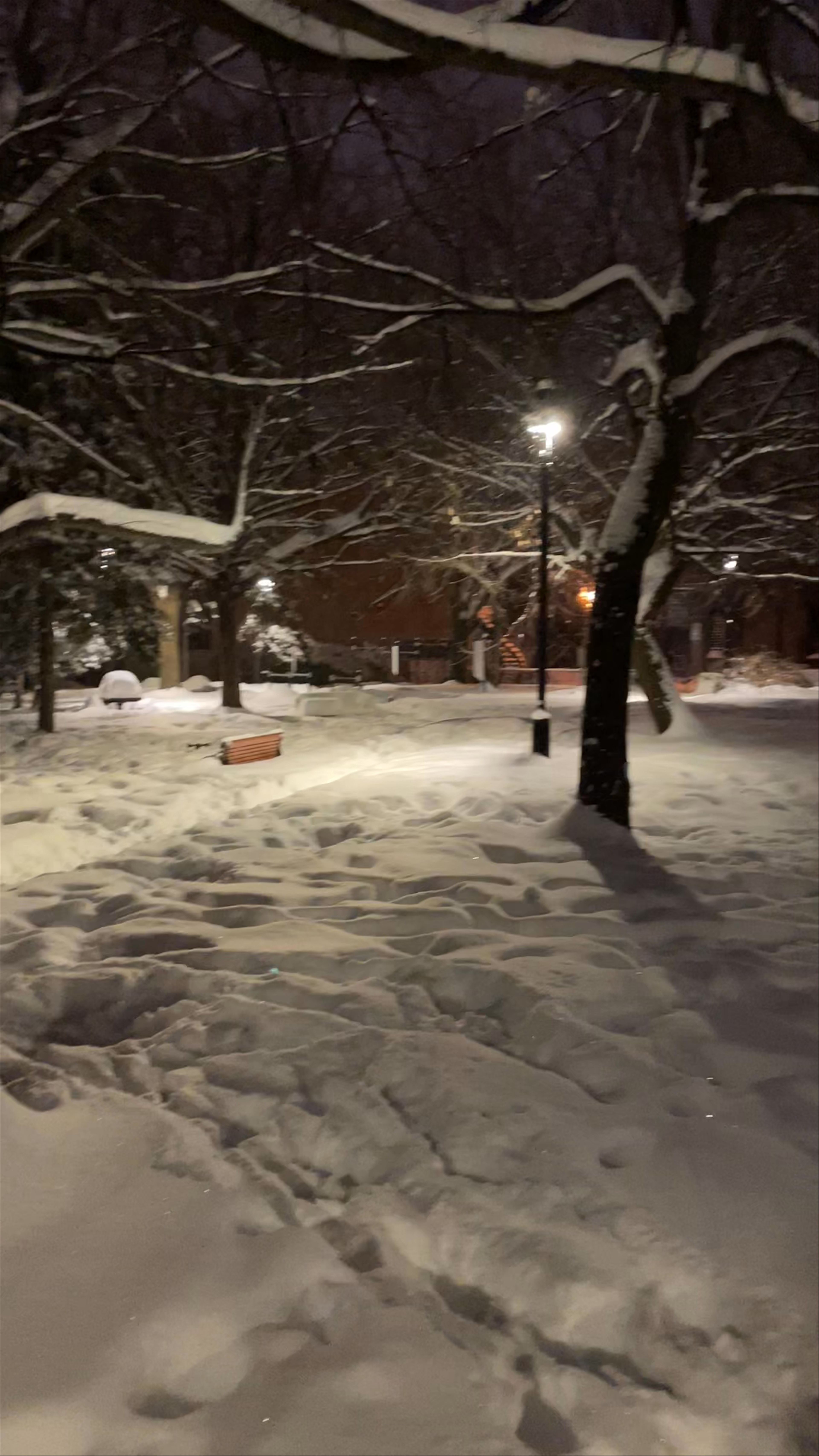 Parc Palomino-Brind'Amour