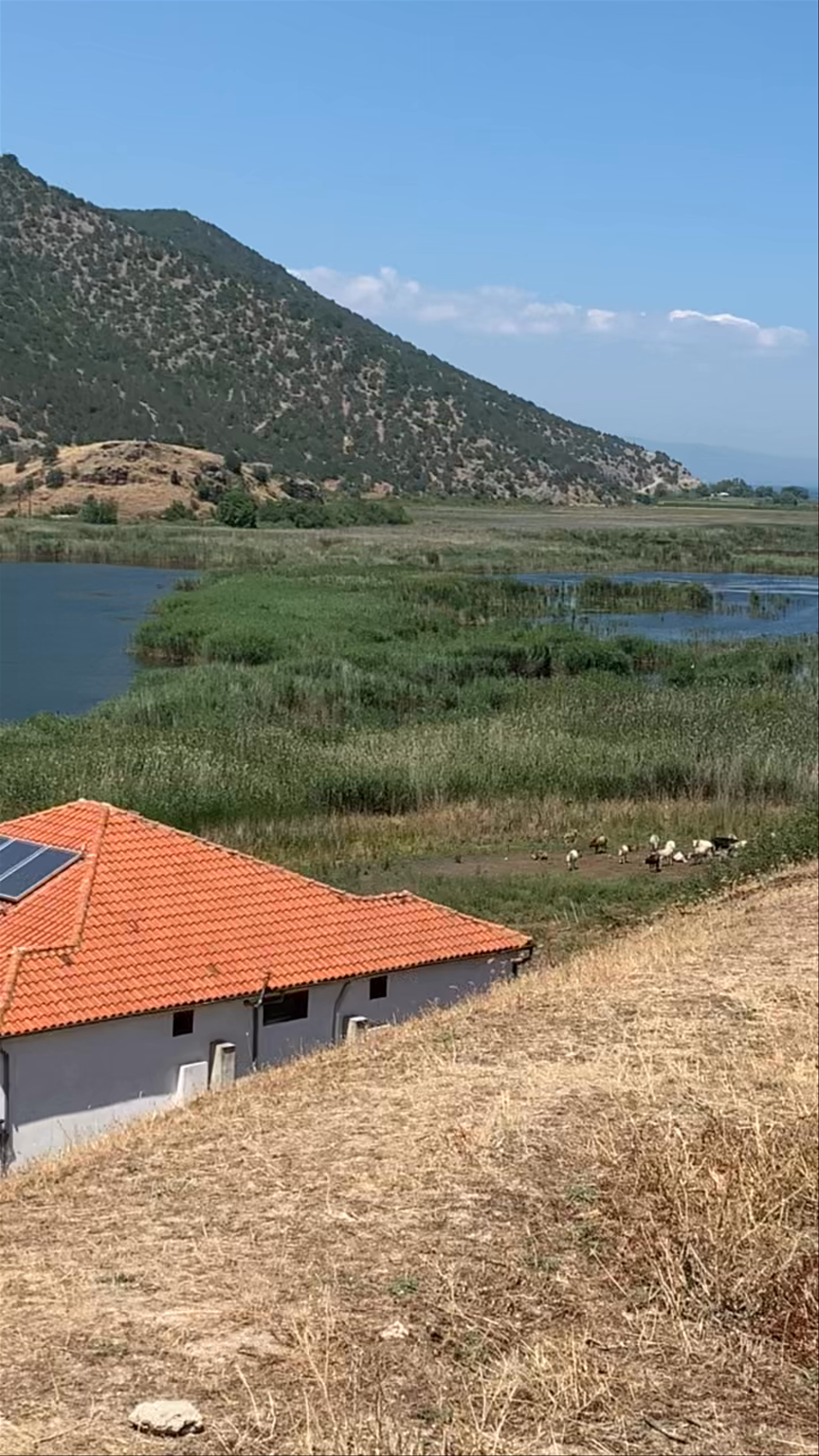 Basilica of Saint Achillius (10th c.)