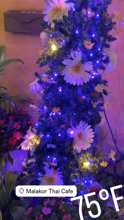 Thaikyo - This video speaks for itself it highlights the Christmas tree, Then the beautiful charming fairy patio with an aquarium and a waterfall. - Thai Near Me - Manalapan, Florida