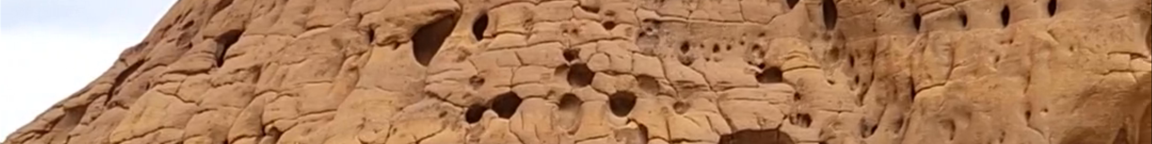 Tours & experiences in Al-`Ula