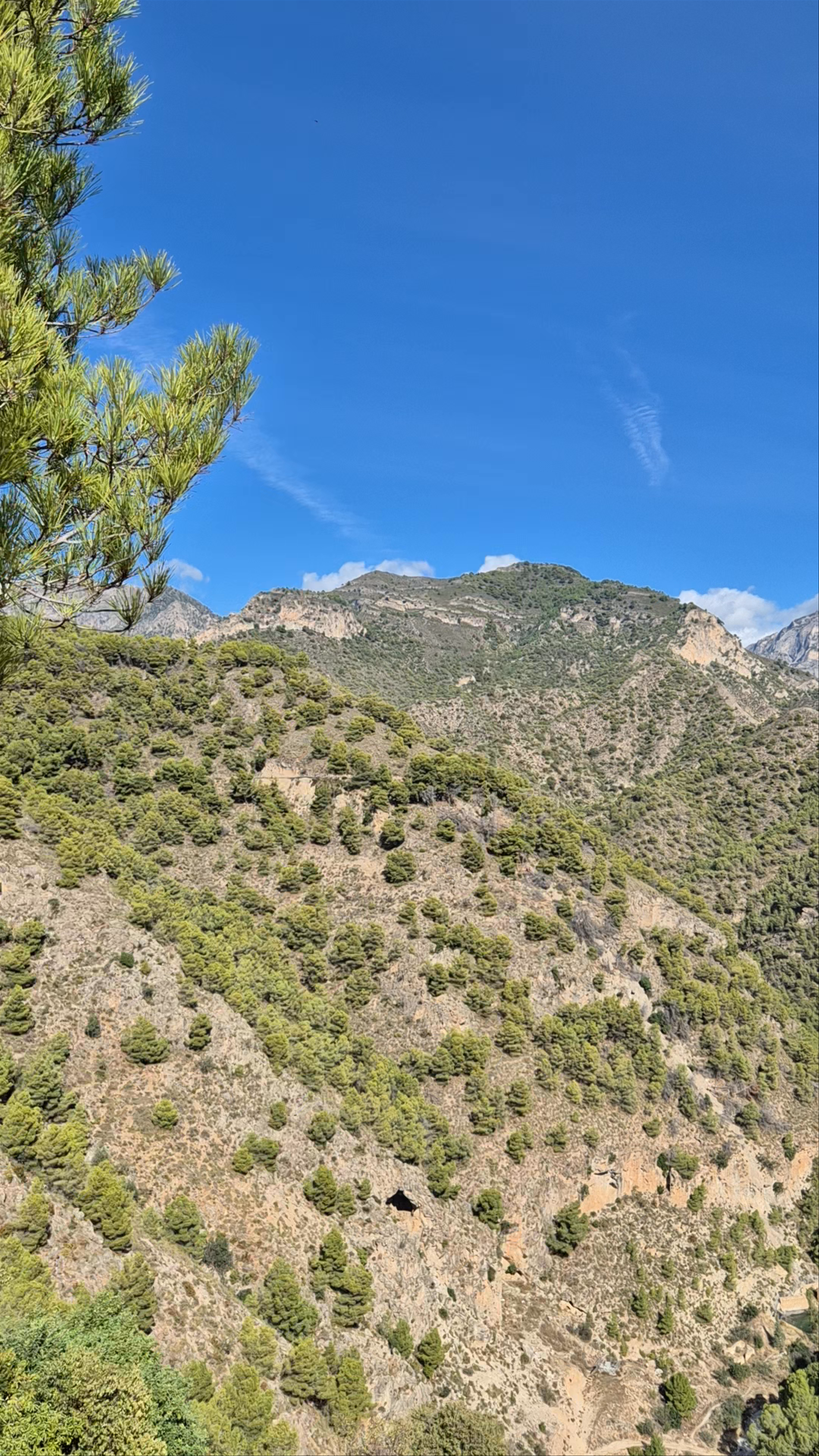Frigiliana