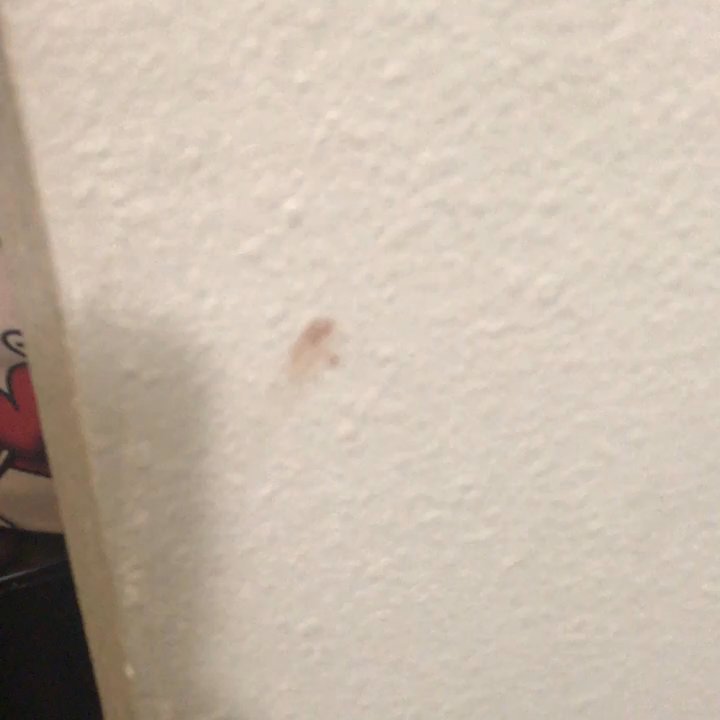 Anaheim Lodge - Did someone get fucked up in this room?!! - Hotels Near Me - Anaheim, California