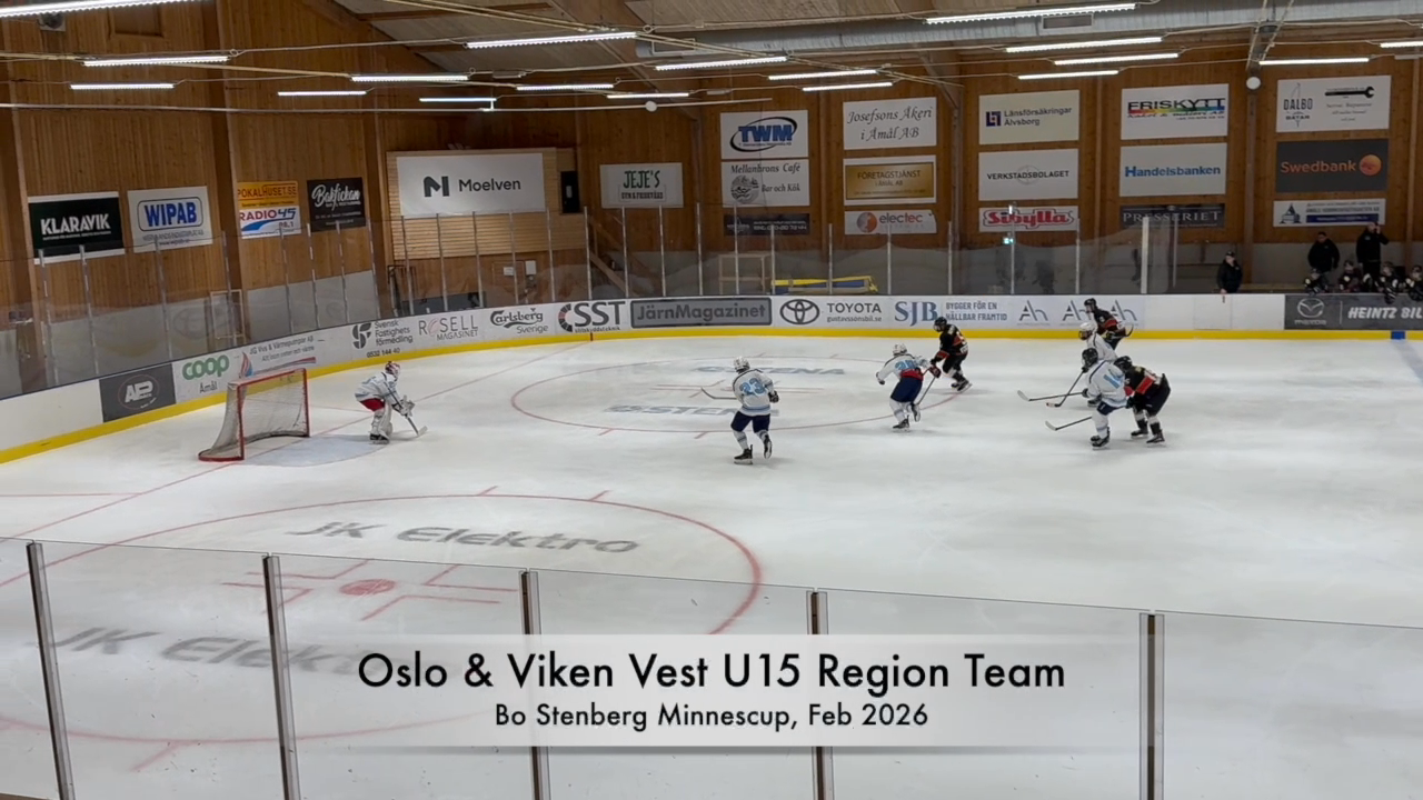Enzo von Zweigbergk: A random selection of saves