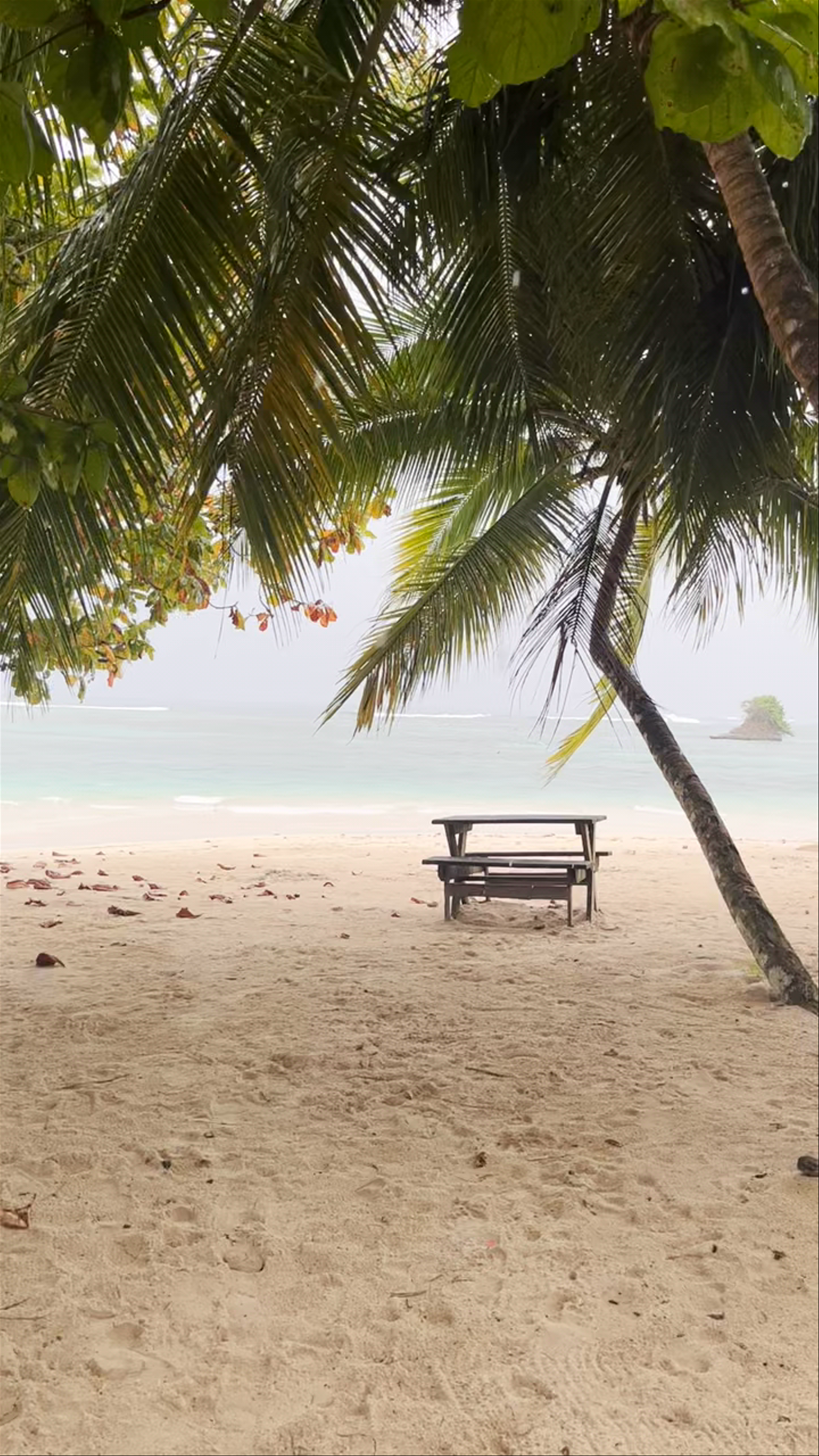 Tranquil Beach Escape at Cayo Zapatilla, Bastimentos Island, Panama