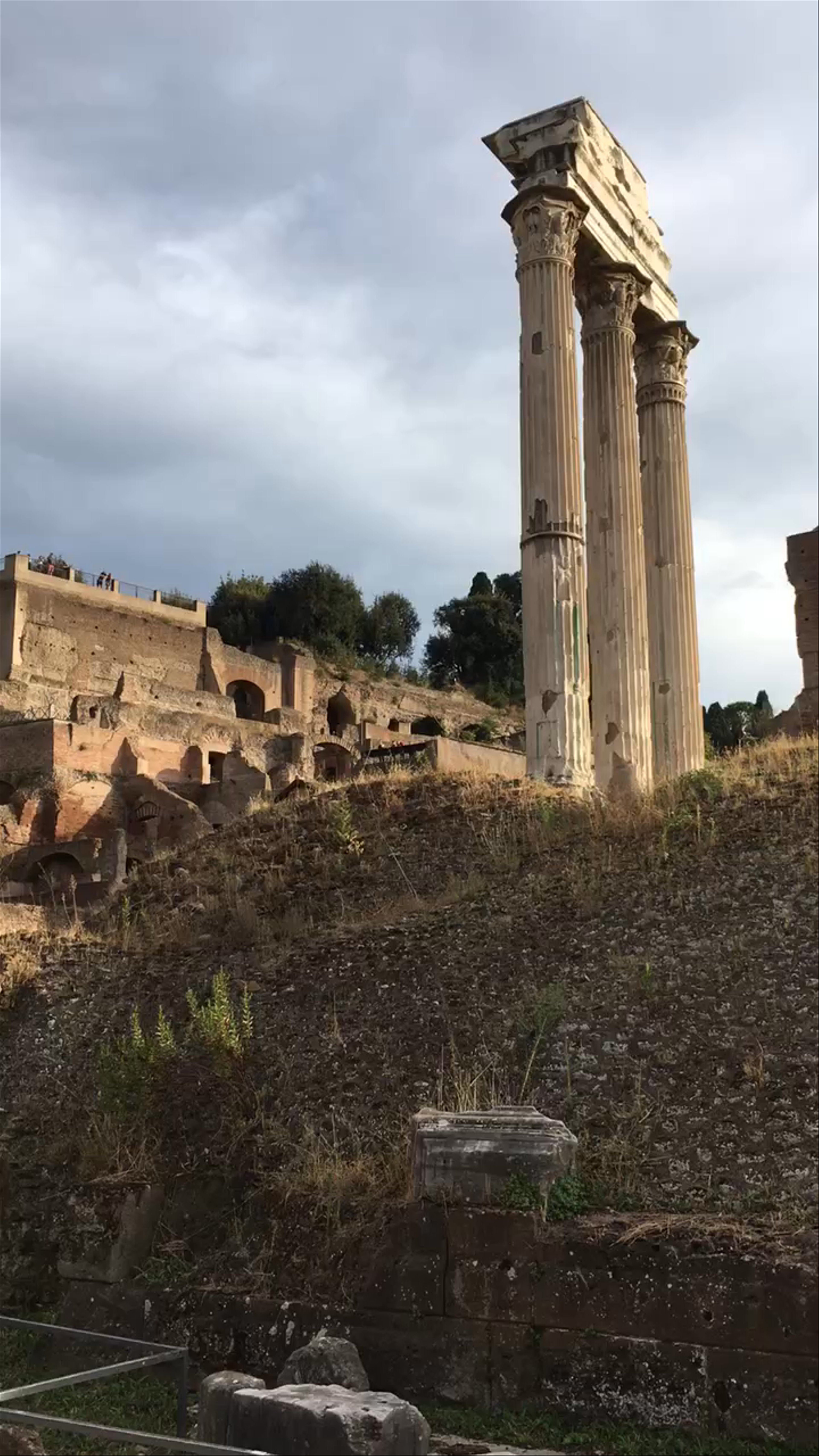 Roman Forum: Timeless Ruins in the Heart of Rome