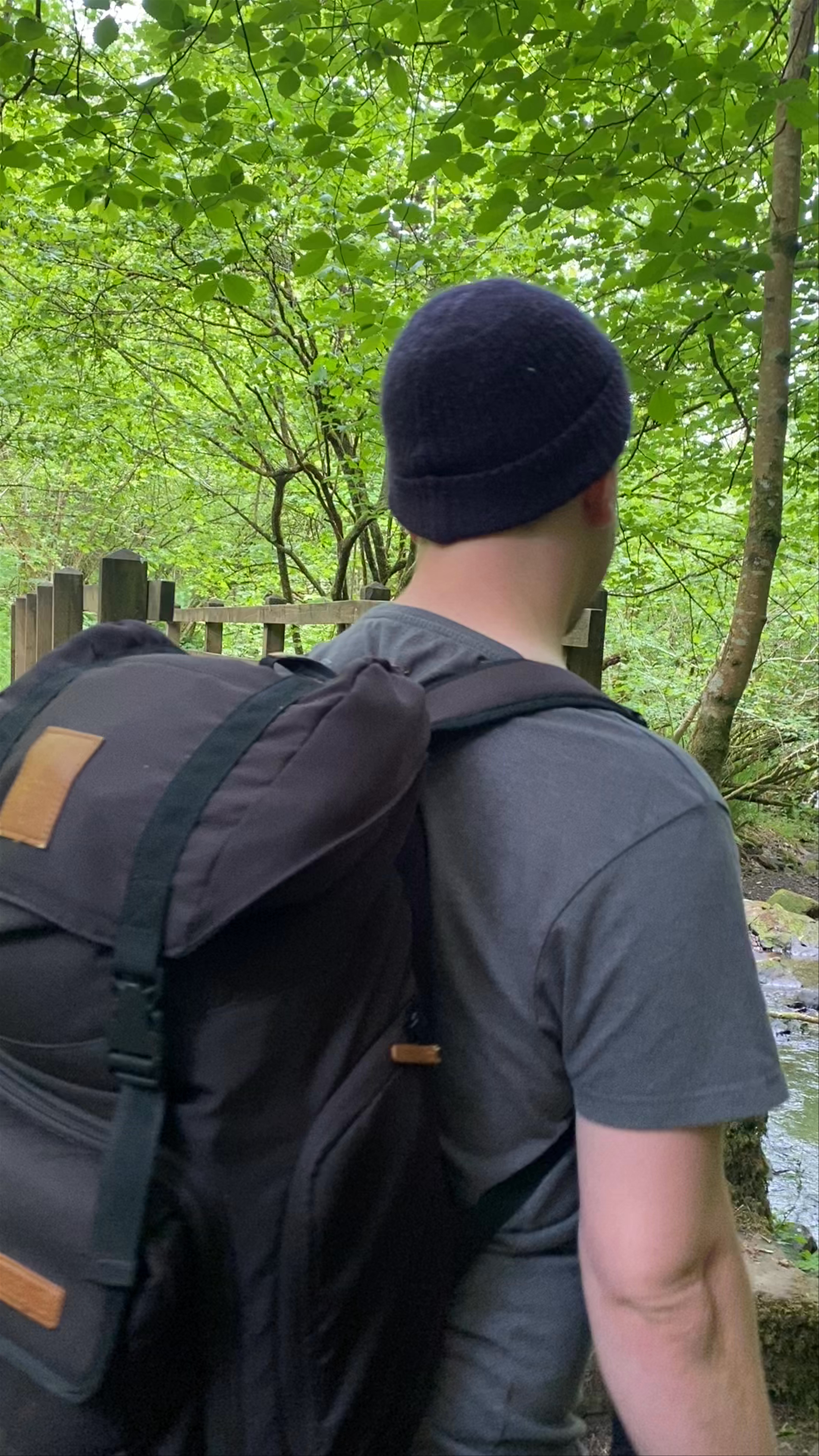 Hareshaw Linn Waterfall ~ Bellingham 