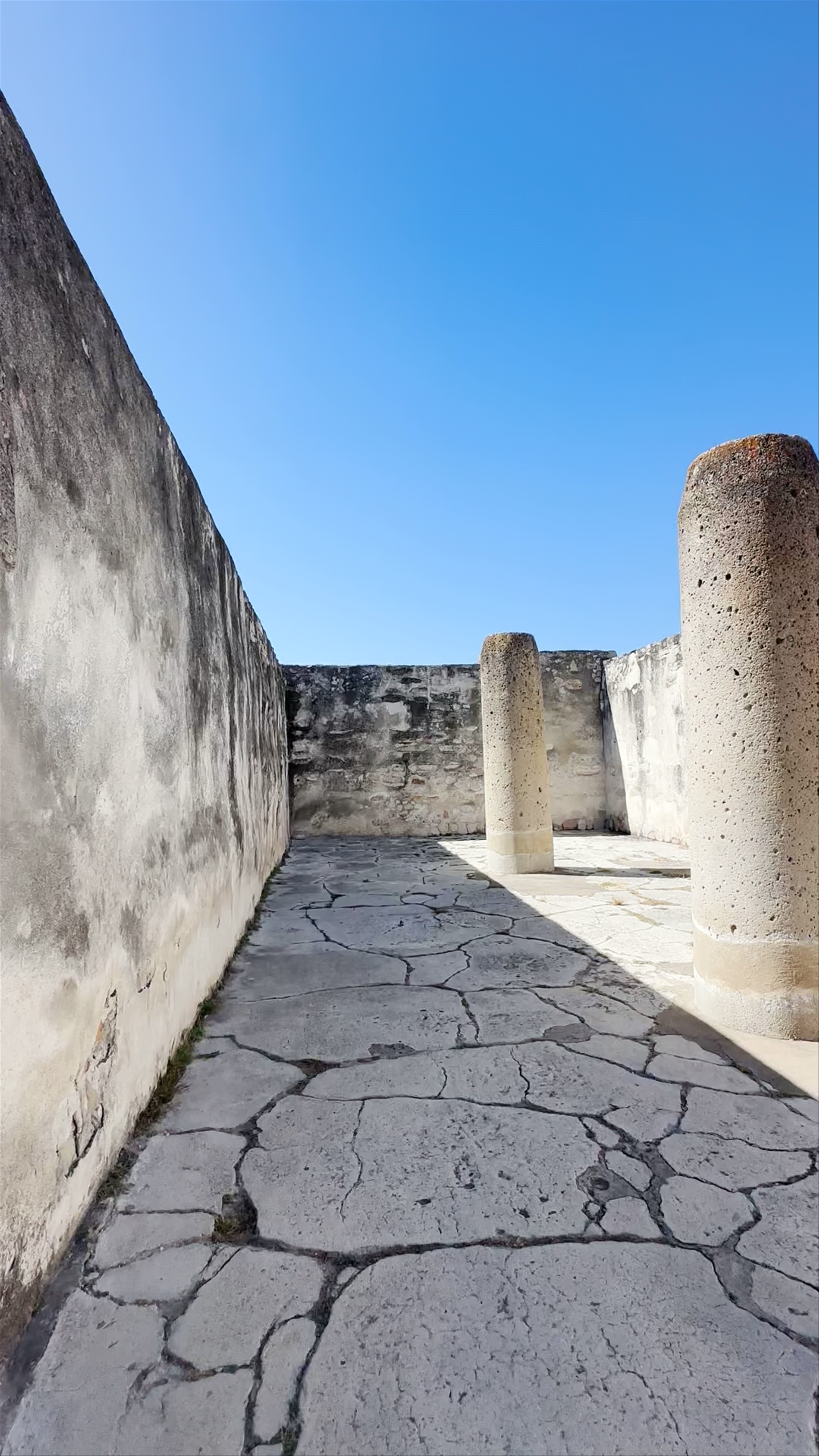 Columna recuperada recientemente