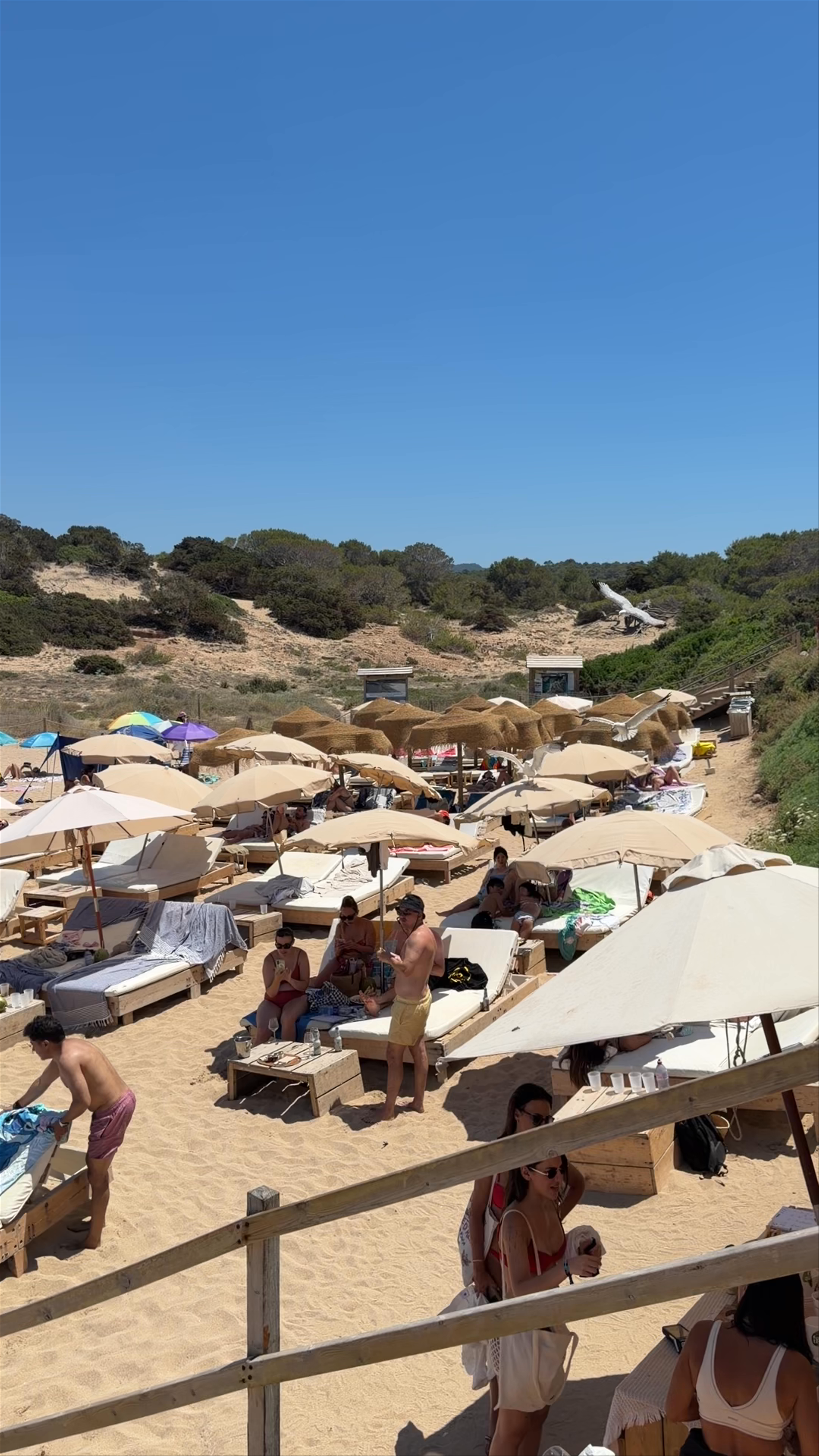 Cala Tarida ibiza