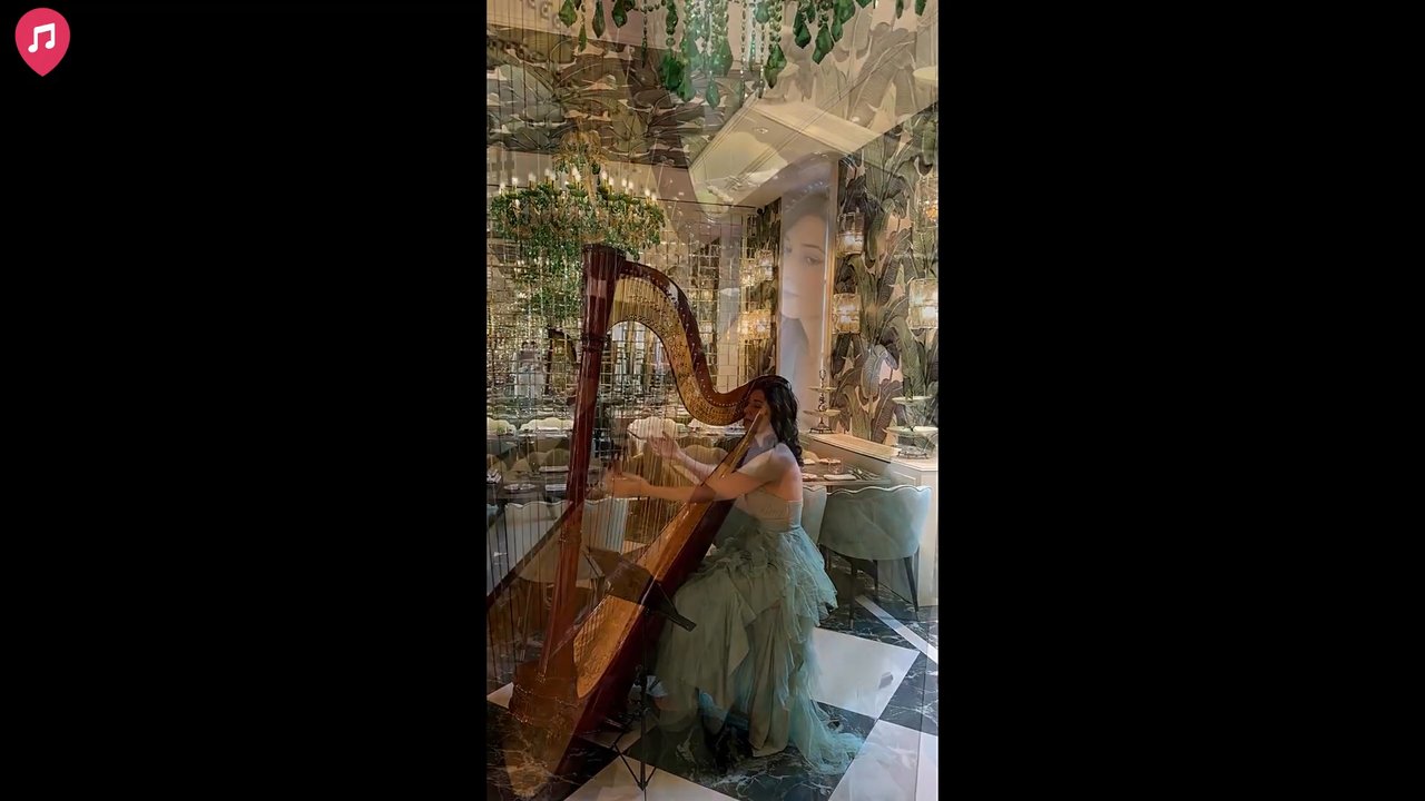 Celeste Harp - Solo Live Showreel 2026 - video
