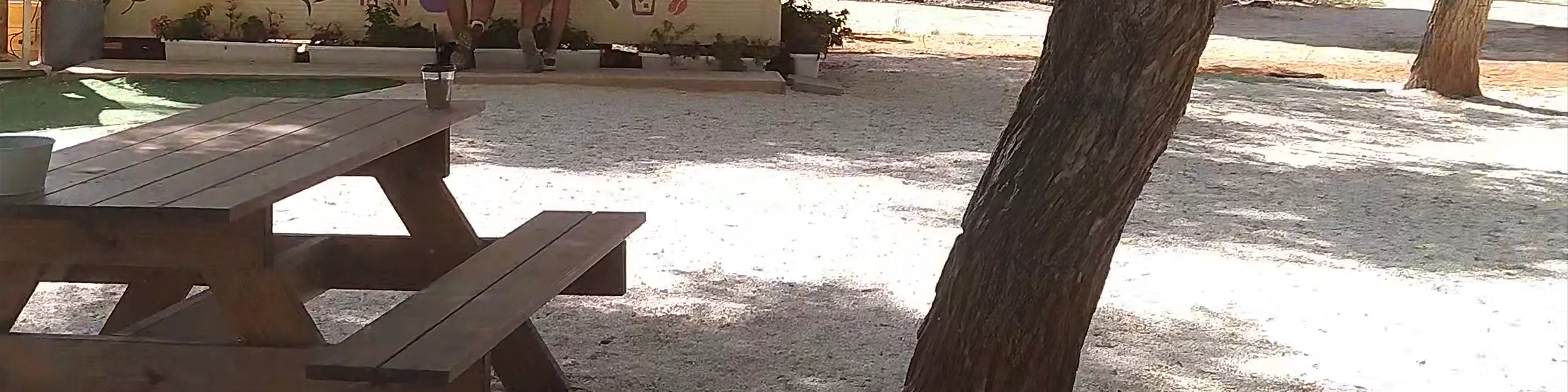 זלדה Truck קפה בנווה ירק