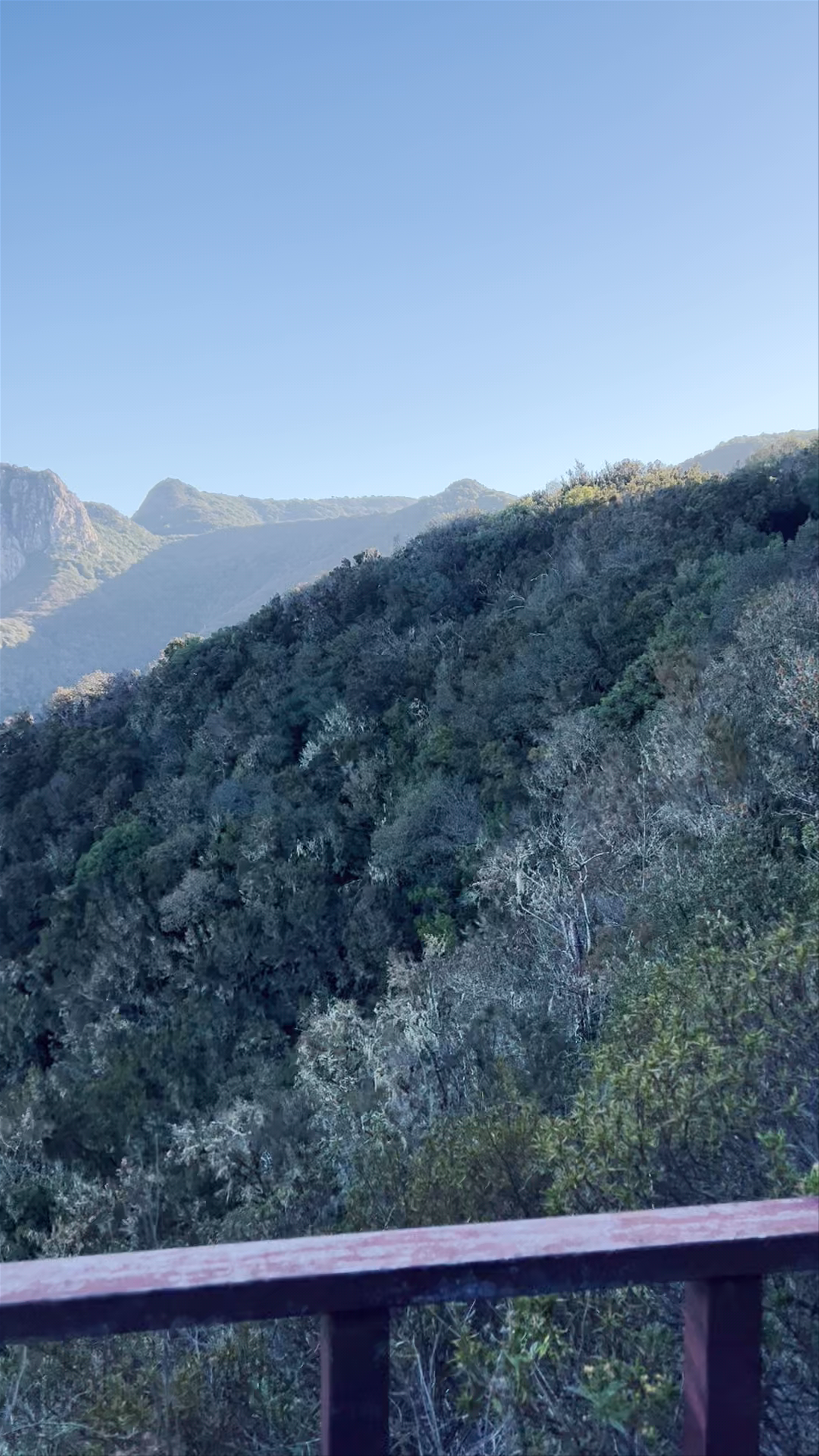 Mirador de Hermigua