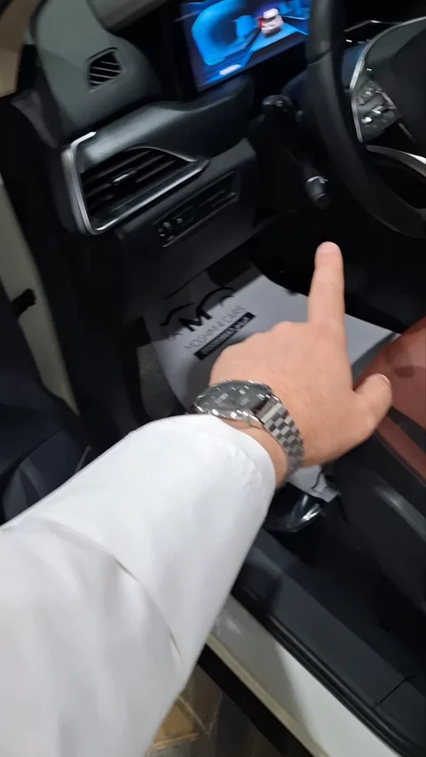 فاو بيستون تي77 ديلوكس 2021