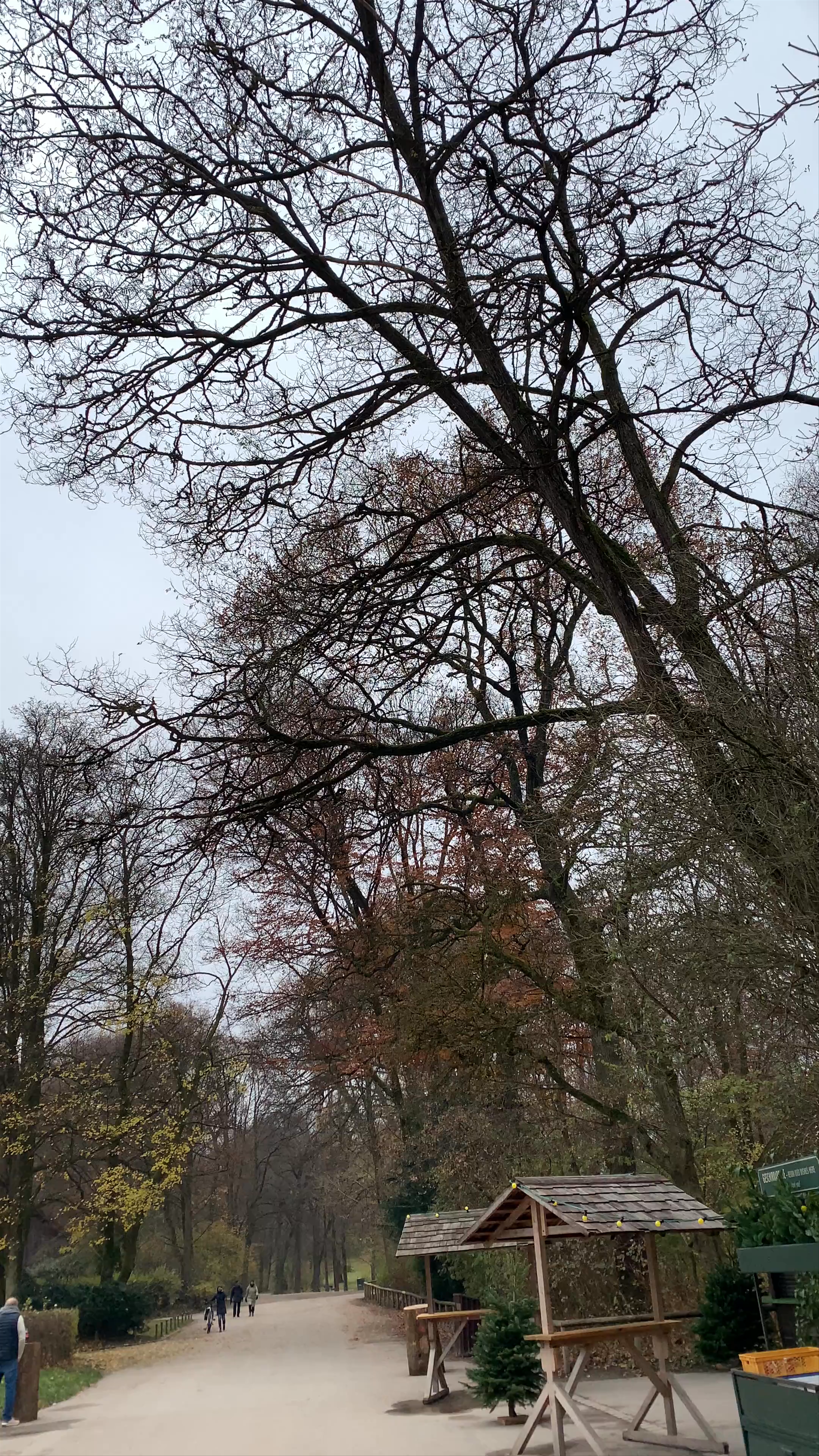 HypoVereinsbank München Tucherpark SB-Standort