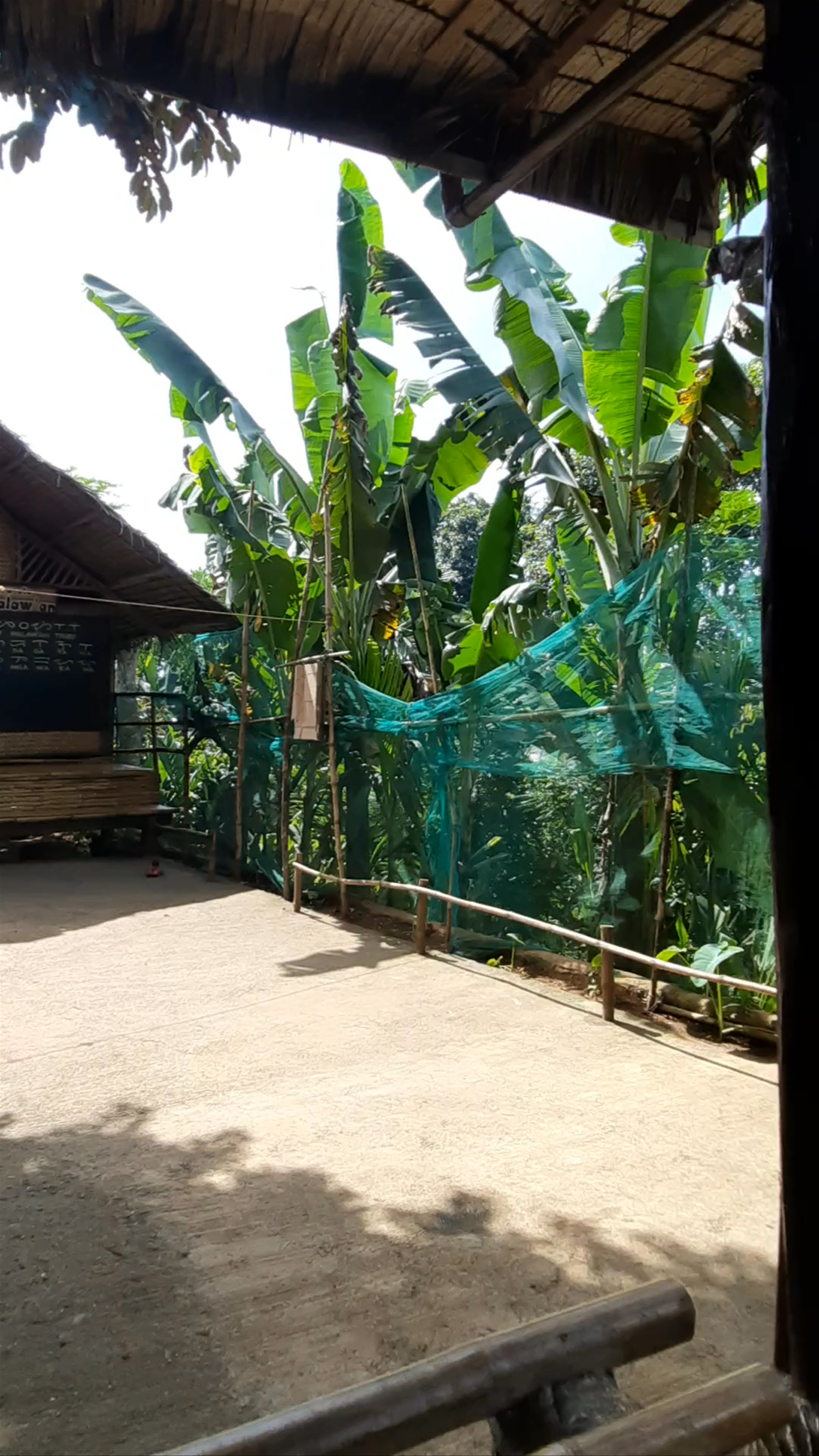 Palawan Butterfly Ecological Garden and Tribal Village