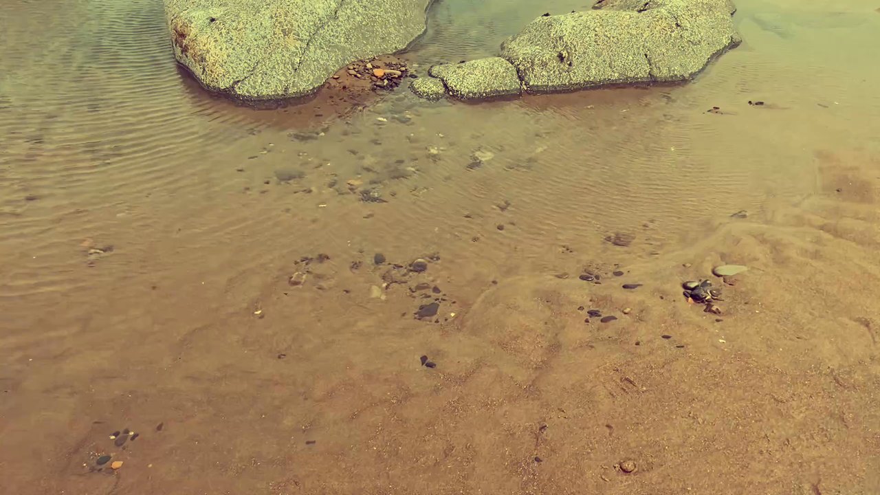 Oregon Coast - Bacon at Lincoln City Beach - 2025 - Beaches Near Me
