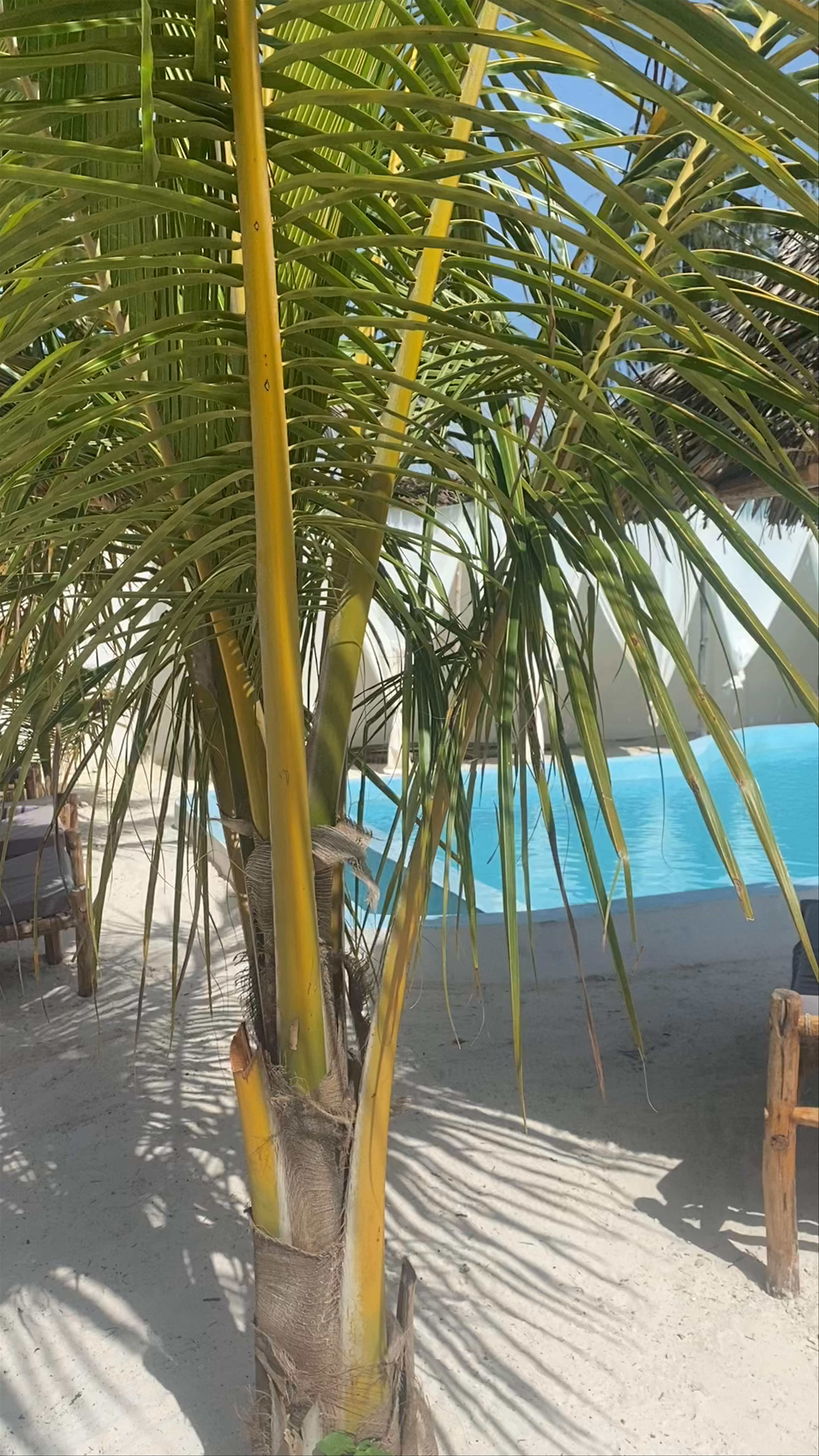 Heart of Zanzibar Bungalows