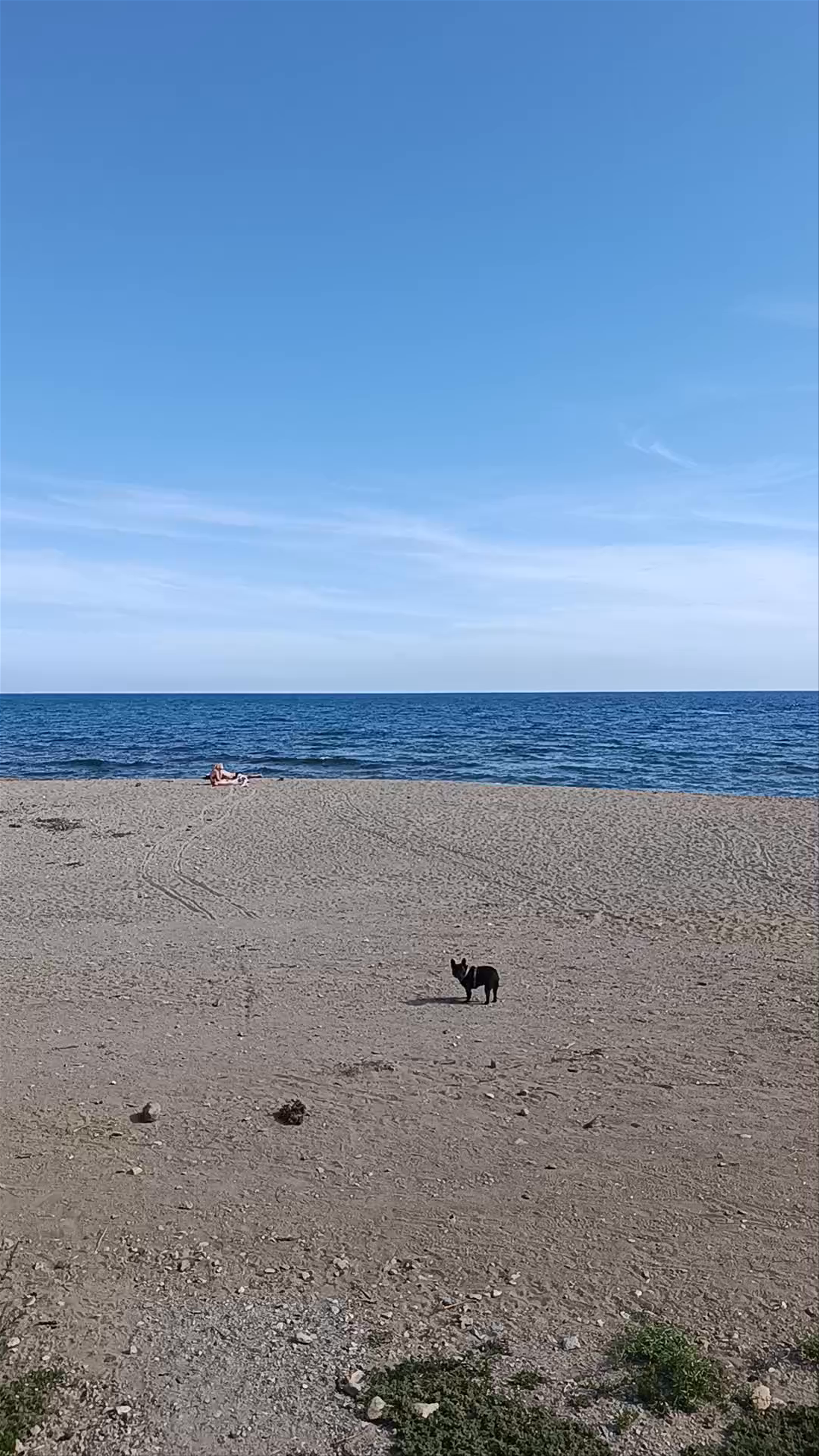 Playa de Las Moreras. Playa Canina