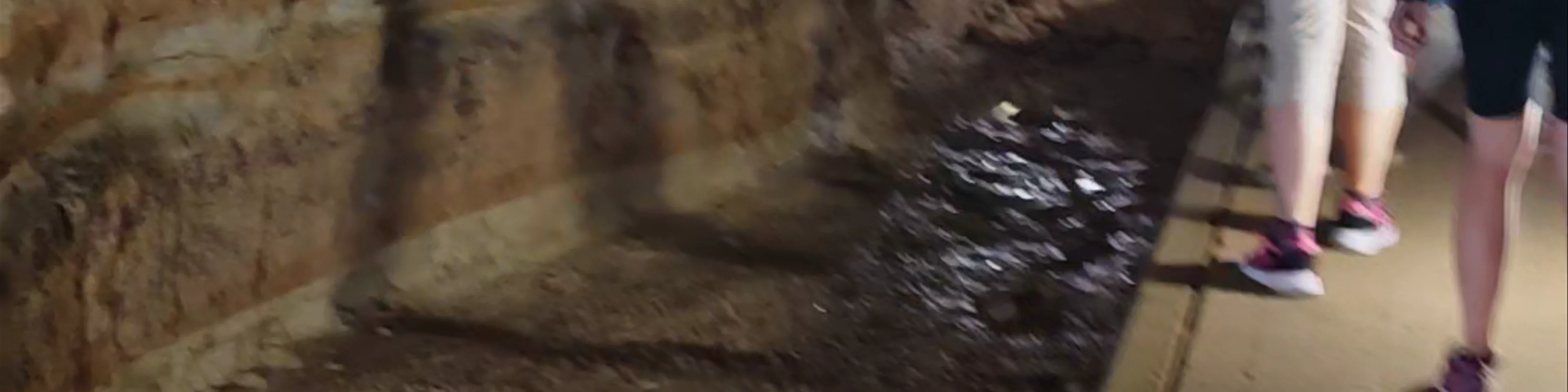 Grotte nel sottosuolo di Camerano - Biglietteria