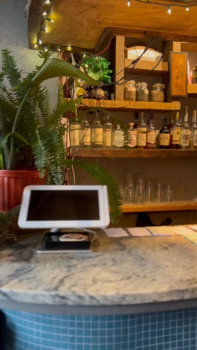 Luanne's Wild Ginger - Vegan Near Me - Brooklyn, New York
