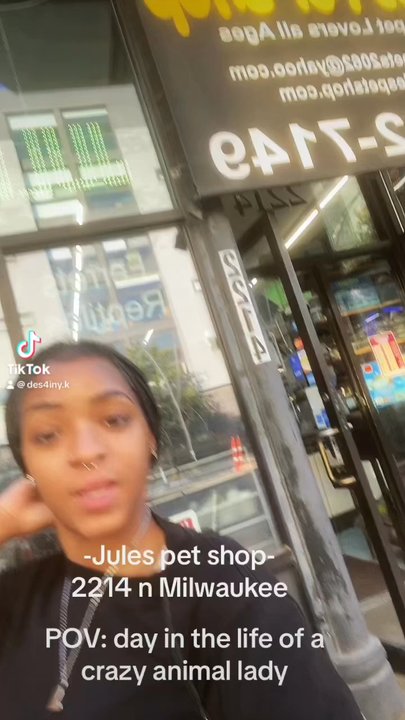 Jules Pet Shop - I brought to baby crested geckos in this video. The man in the video is the store owner super friendly and educated guy! - Pet Stores Near Me - Chicago, Illinois