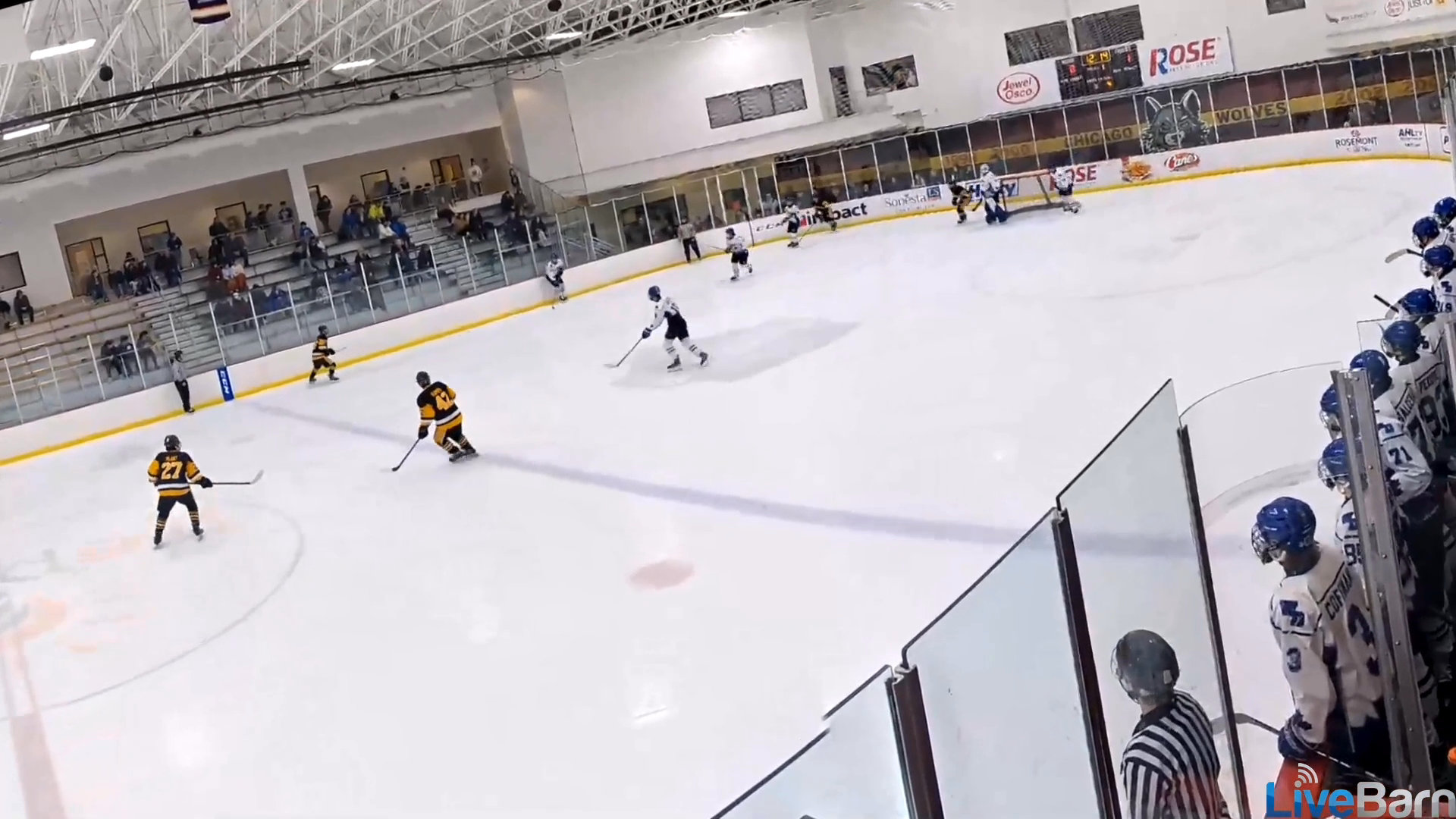 Alfonso Hermes #18: Crystal Lake Yellow Jackets Highlights & Goals Showcase tip in goal!