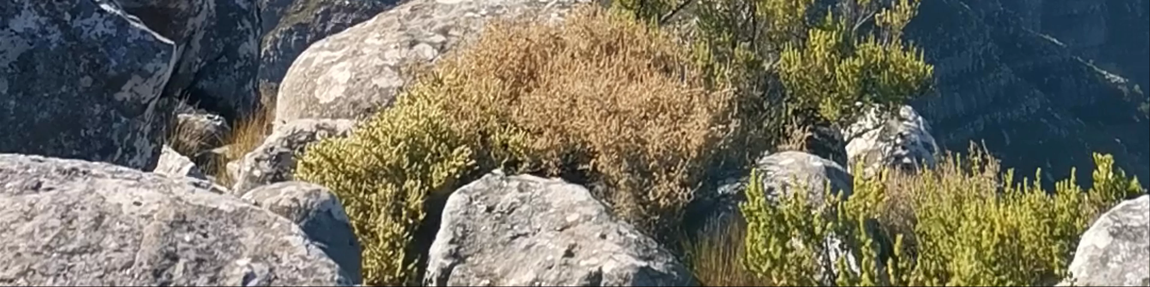 Helderberg Dome Peak