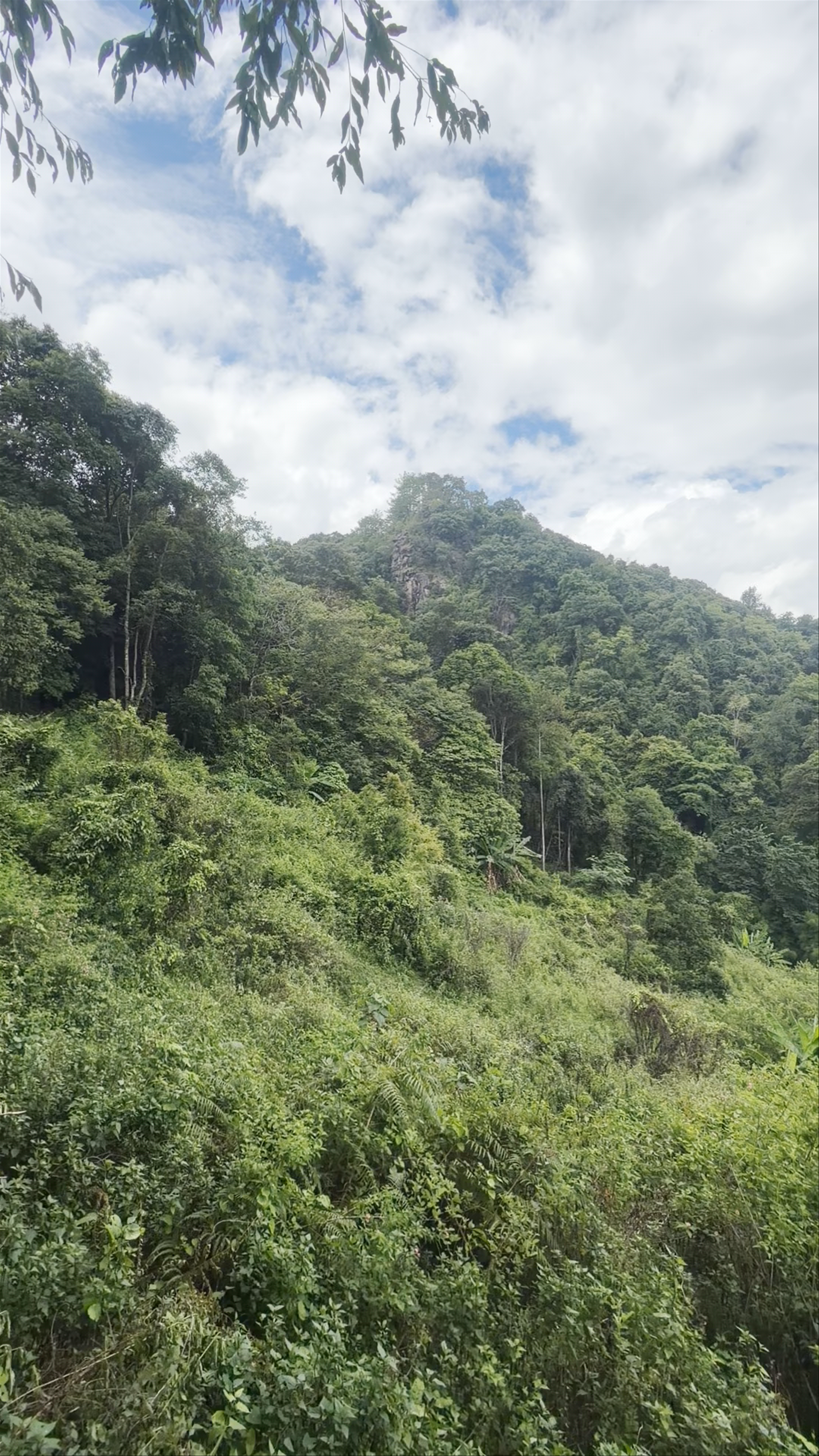 Doi Inthanon