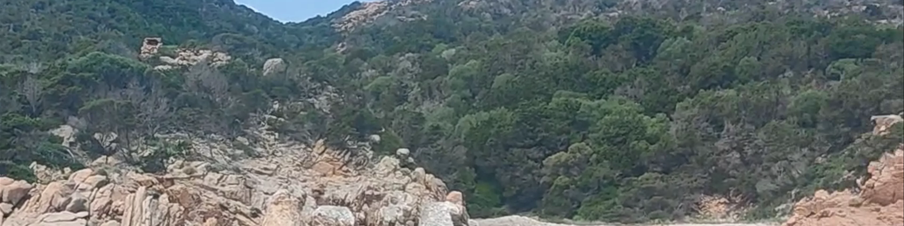 Cala dell'amore (spargi)