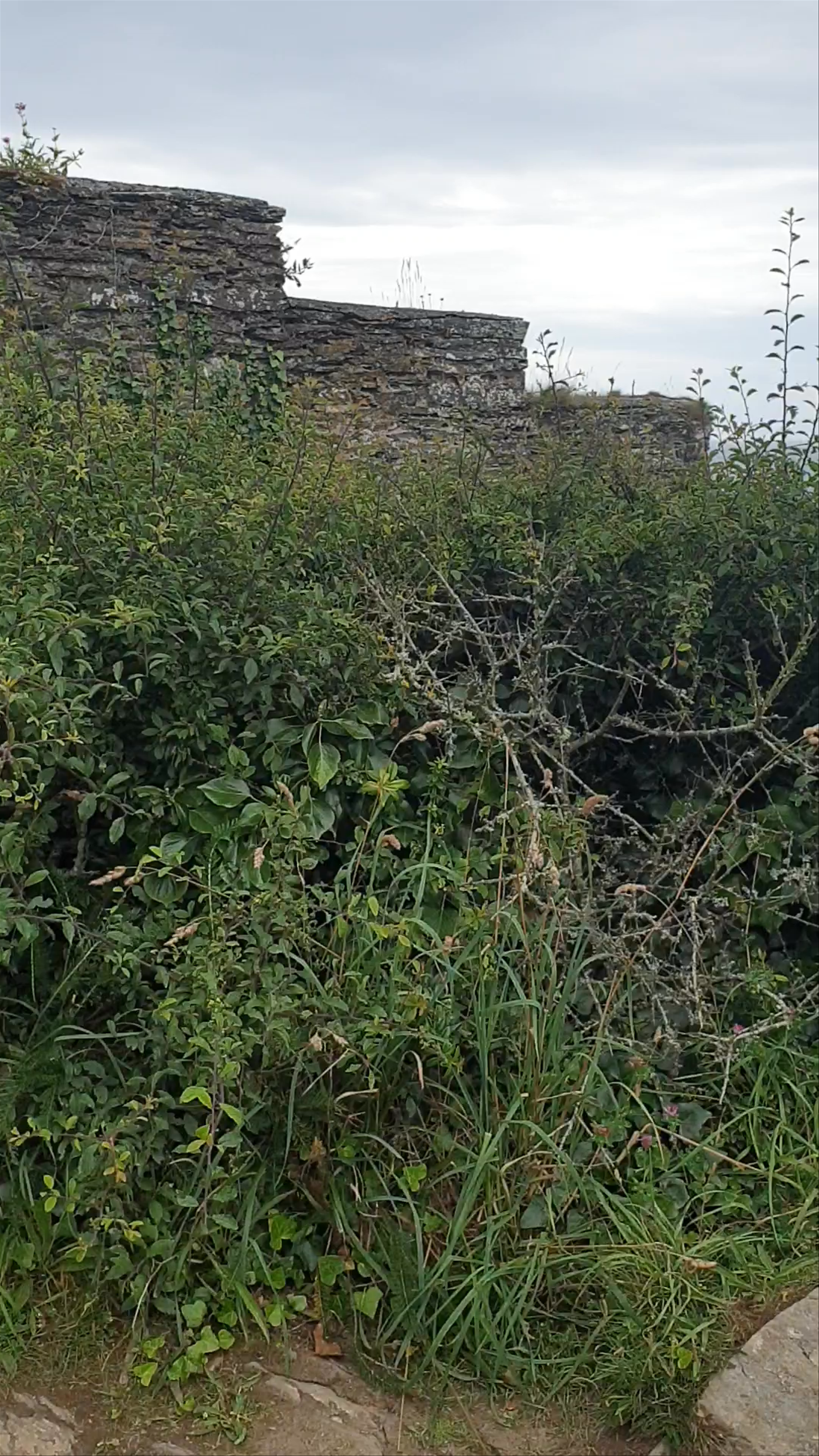 St Catherine's Castle