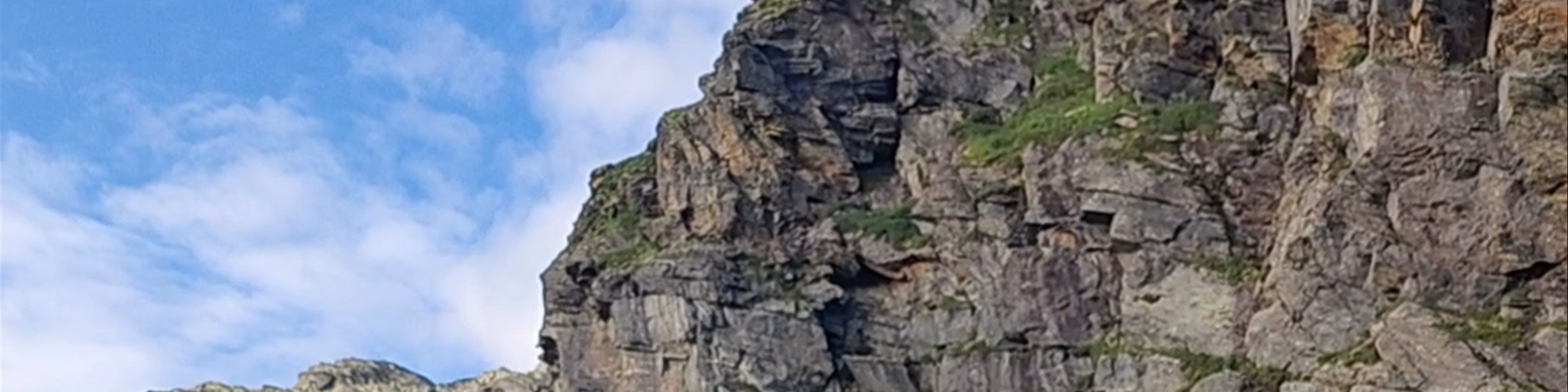 Odda