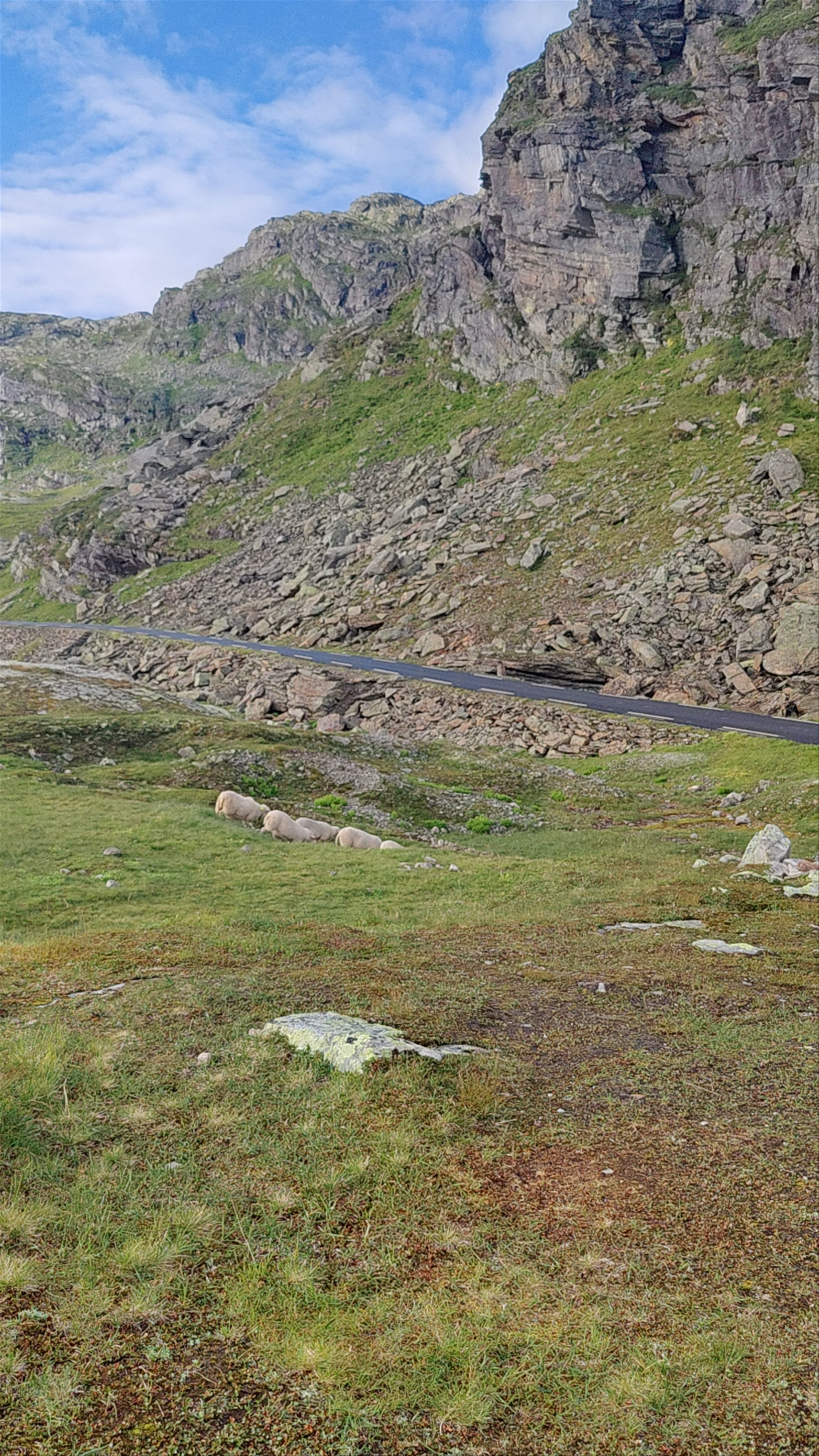 Breathtaking Summer Views at Røldal Skisenter, Norway