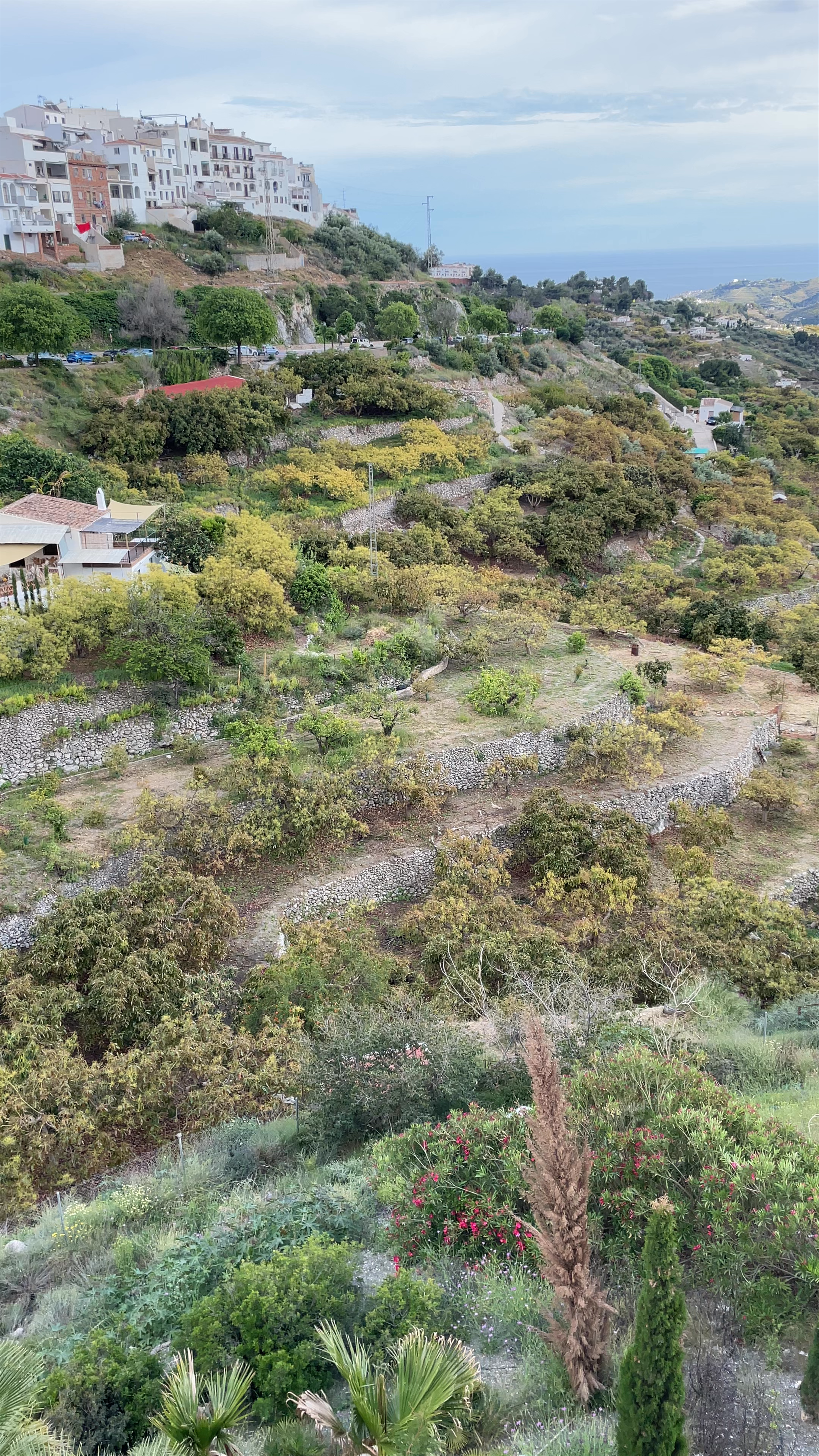 Frigiliana's Rolling Hills and Whitewashed Charm in Andalucía, Spain