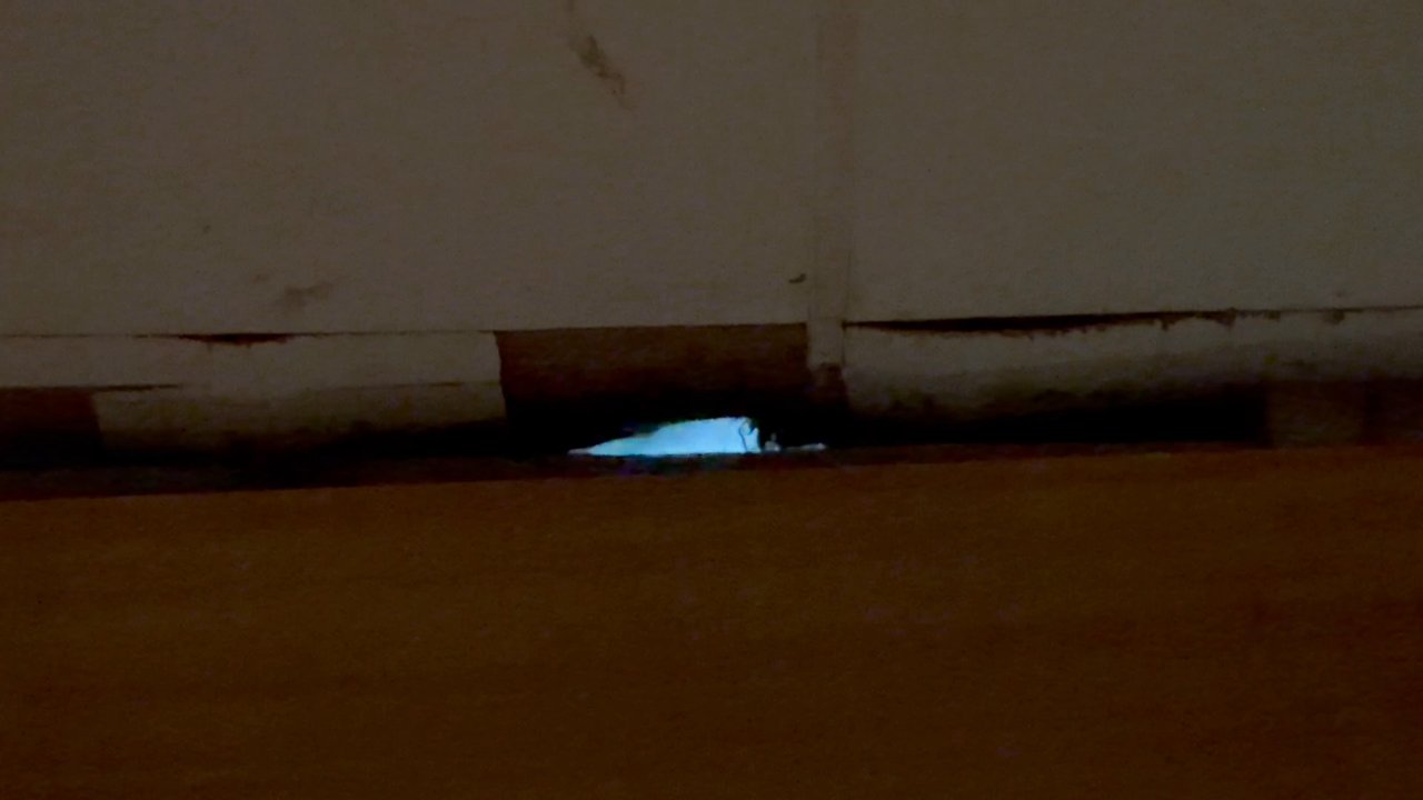Subfloor Savers - Behind the molding and floor. No Insulation or vapor barrier. - Mobile Home Repair Near Me