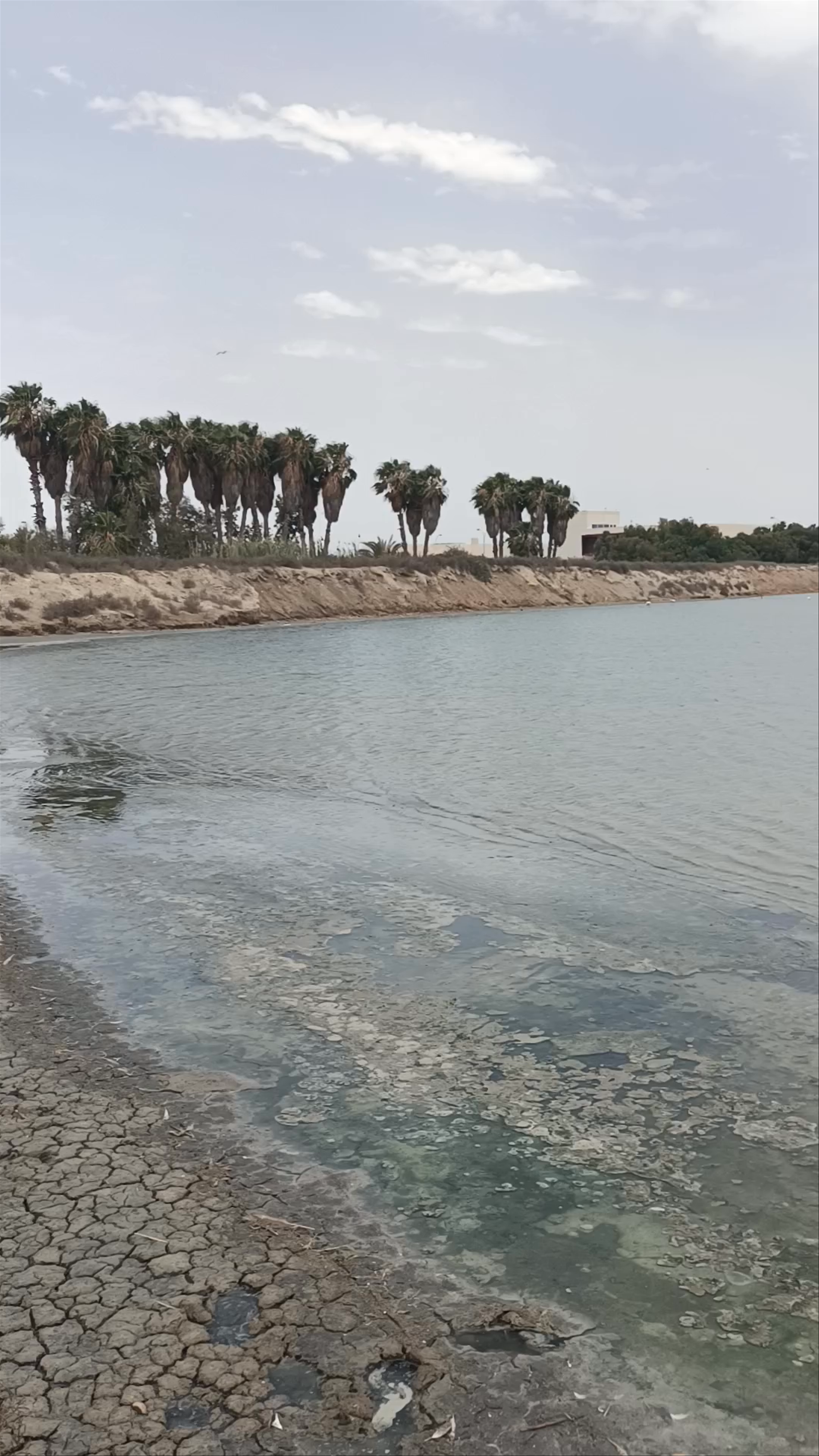 Serene Wetlands at Parque Regional de las Salinas y Arenales de San Pedro del Pinatar