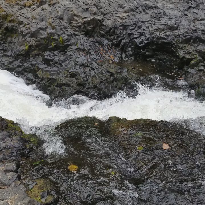 Rainbow Falls State Park - Parks Near Me - Chehalis, Washington