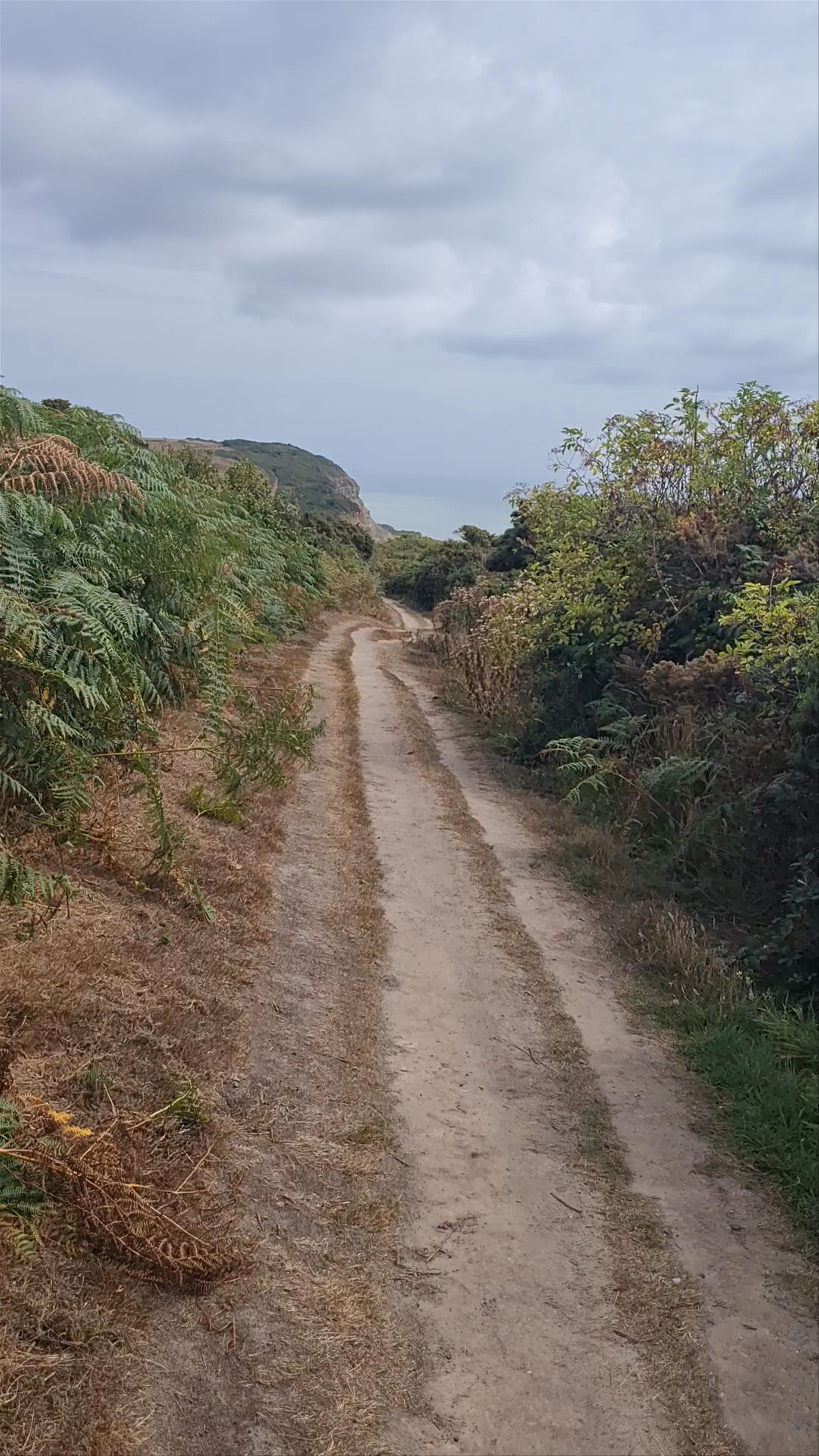 Scenic Coastal Walk at Hastings Country Park Nature Reserve