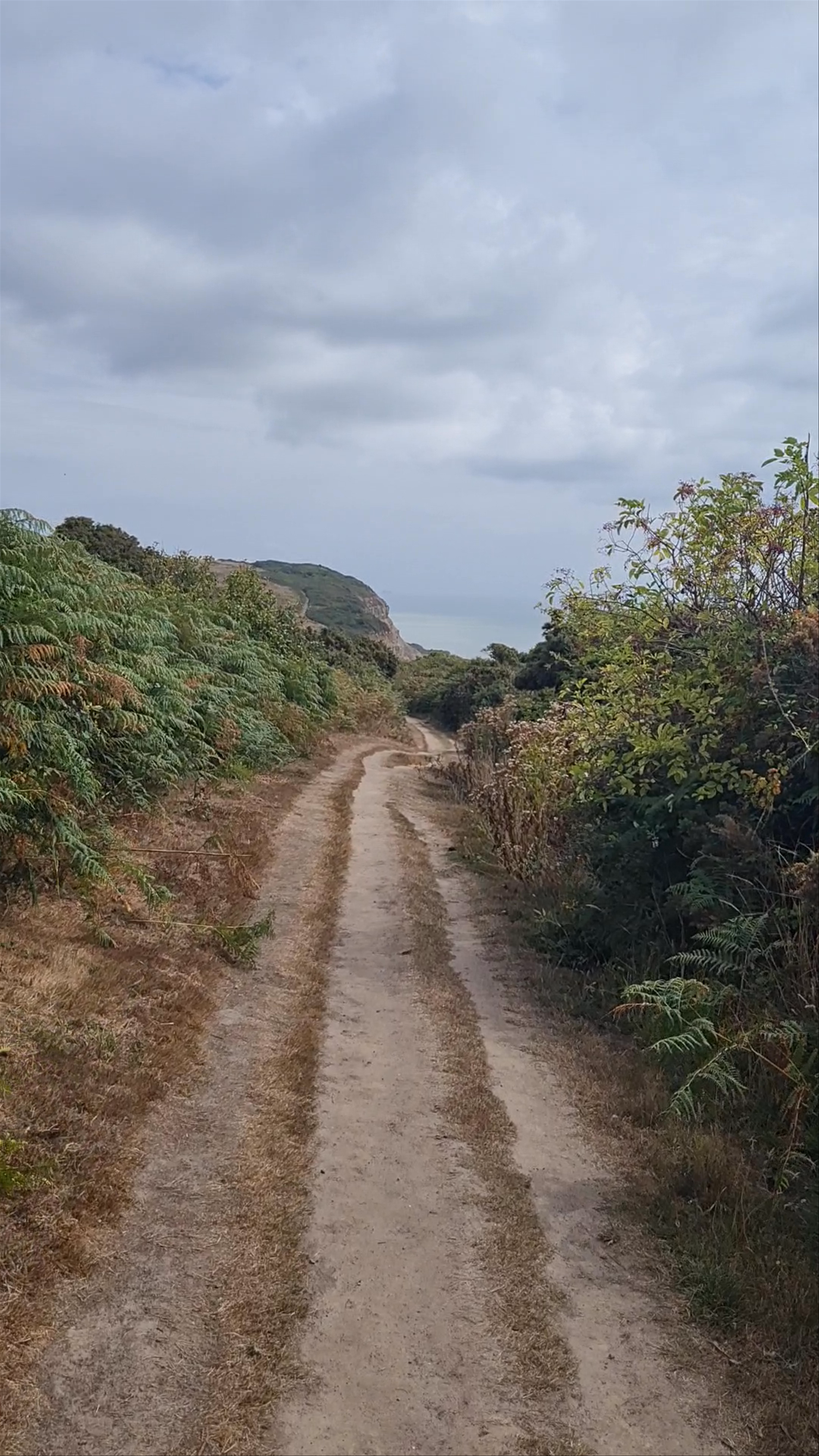 Hastings Country Park Nature Reserve