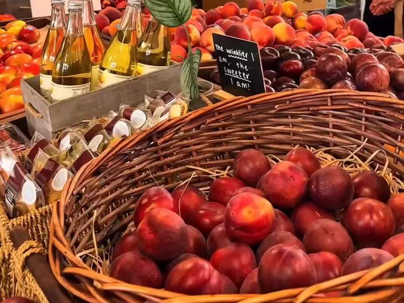 Montague Farms - Pick Your Own Fruit Tour