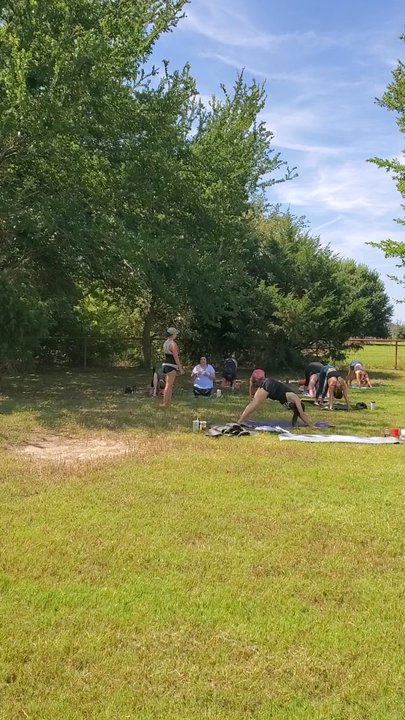TX-Ture Farm - Alpaca yoga - Attraction Farms Near Me - Aubrey, Texas