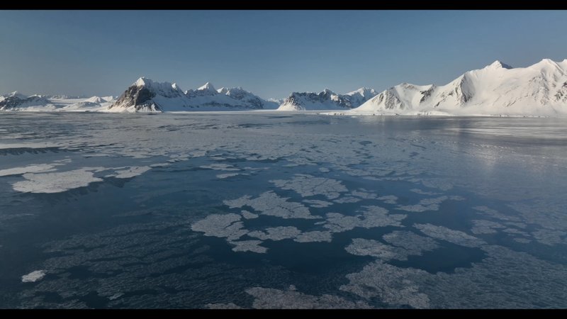 Arctic Drone poster