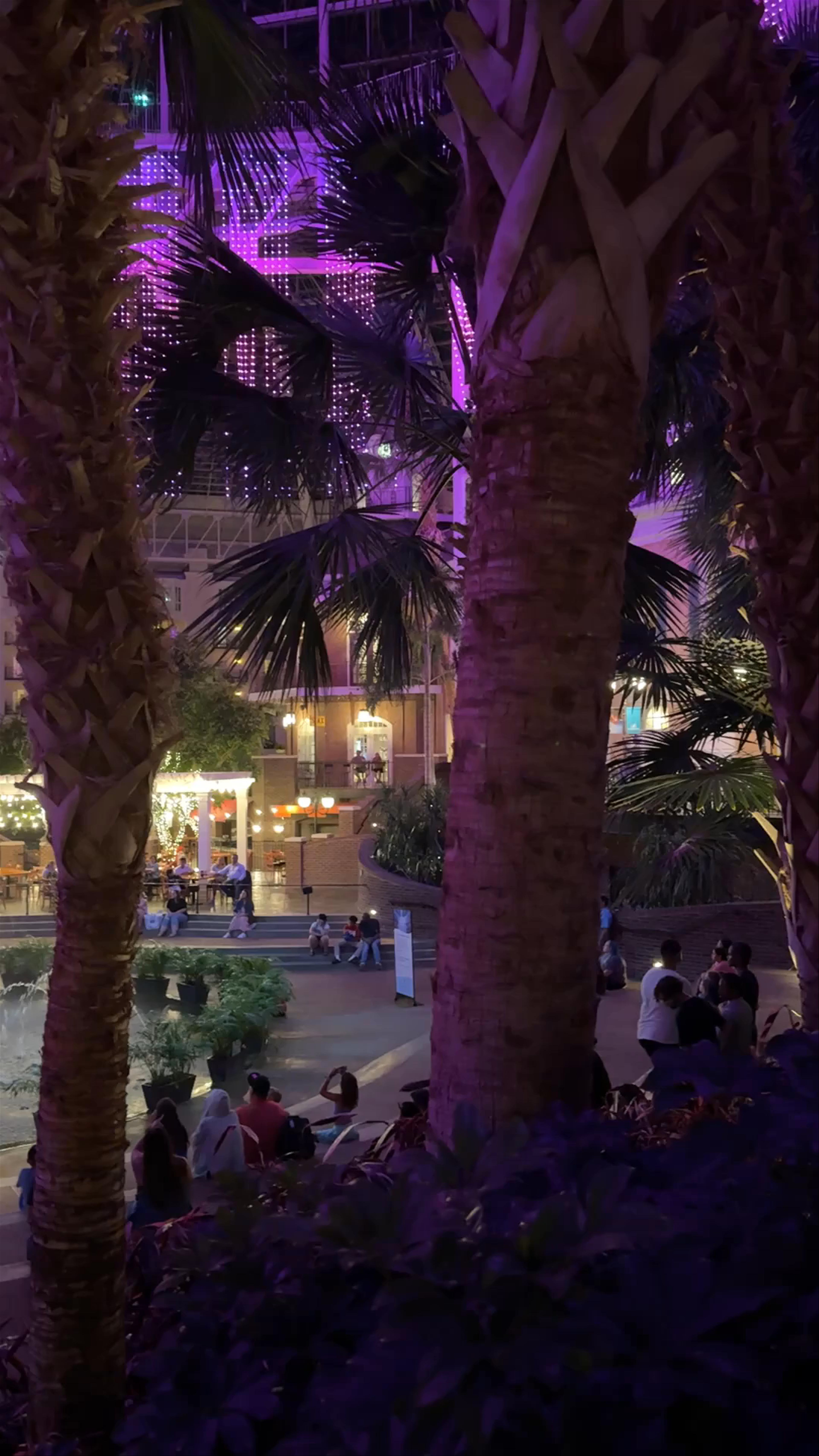 Enchanting Evening at Gaylord Opryland Resort & Convention Center in Nashville