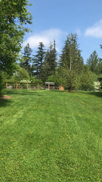 Sammamish Commons - Parks Near Me - Sammamish, Washington