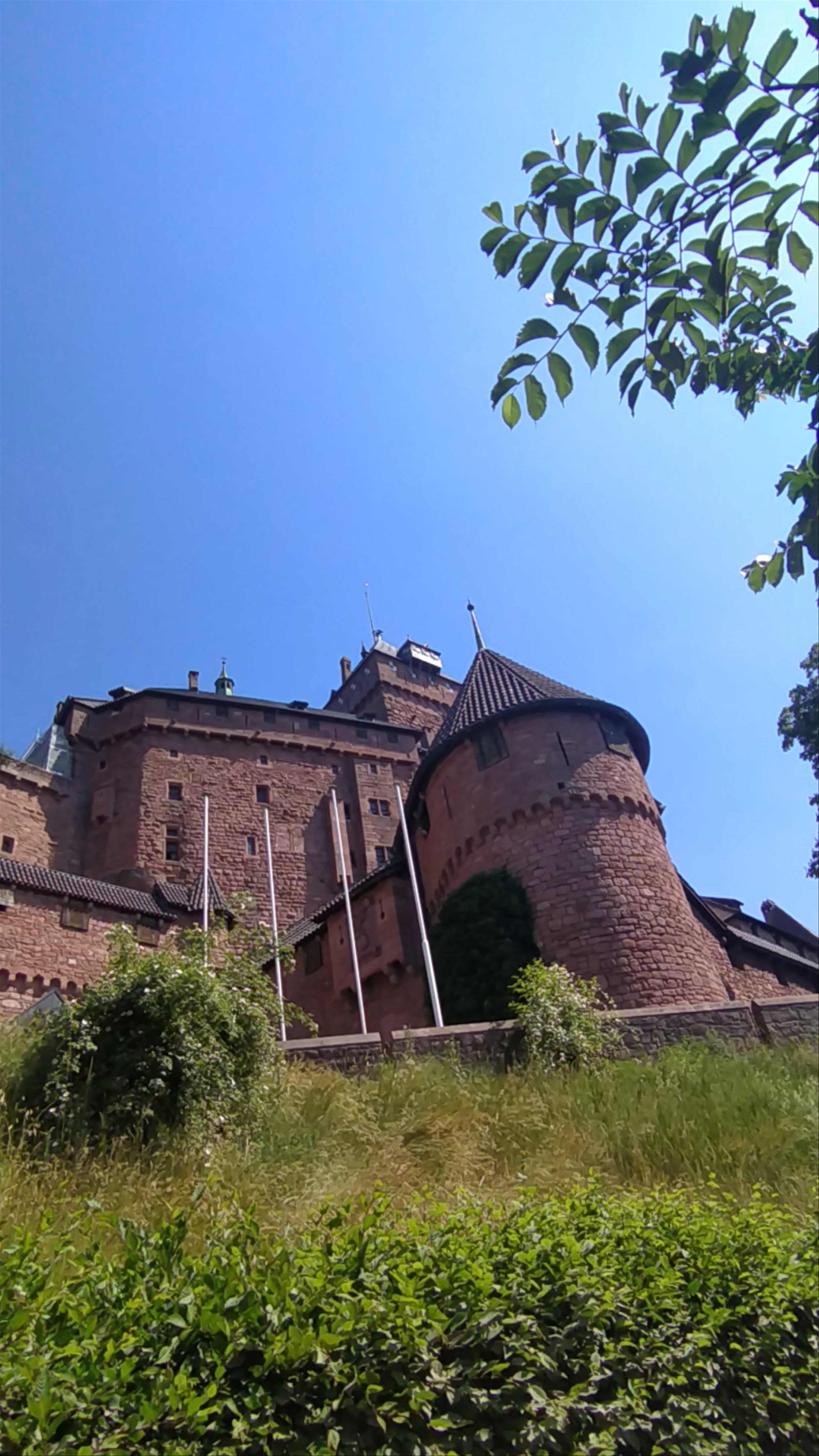 Château Haut-Koenigsbourg: Majestic Medieval Fortress in Orschwiller