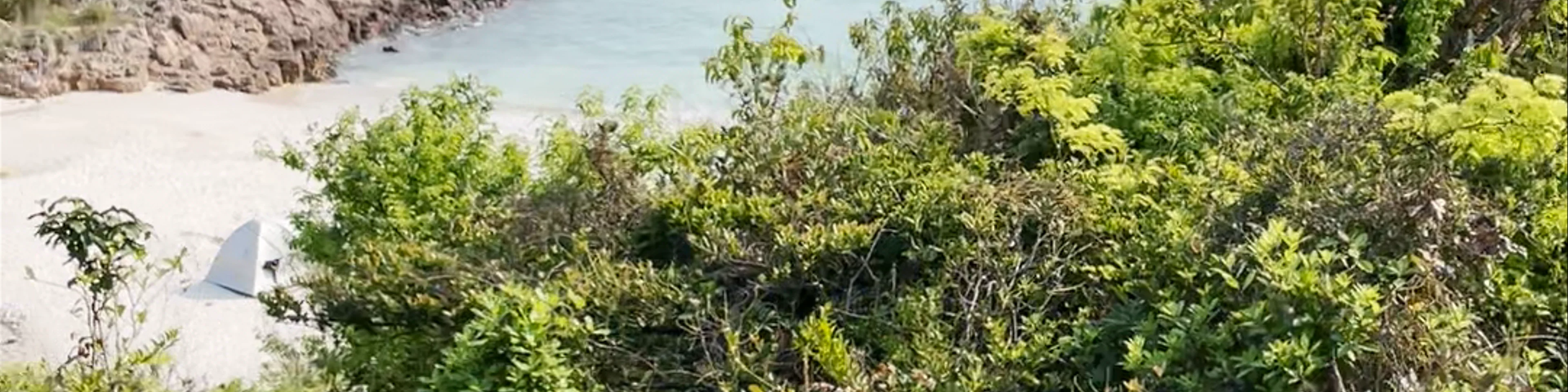 Nam Fung Chau