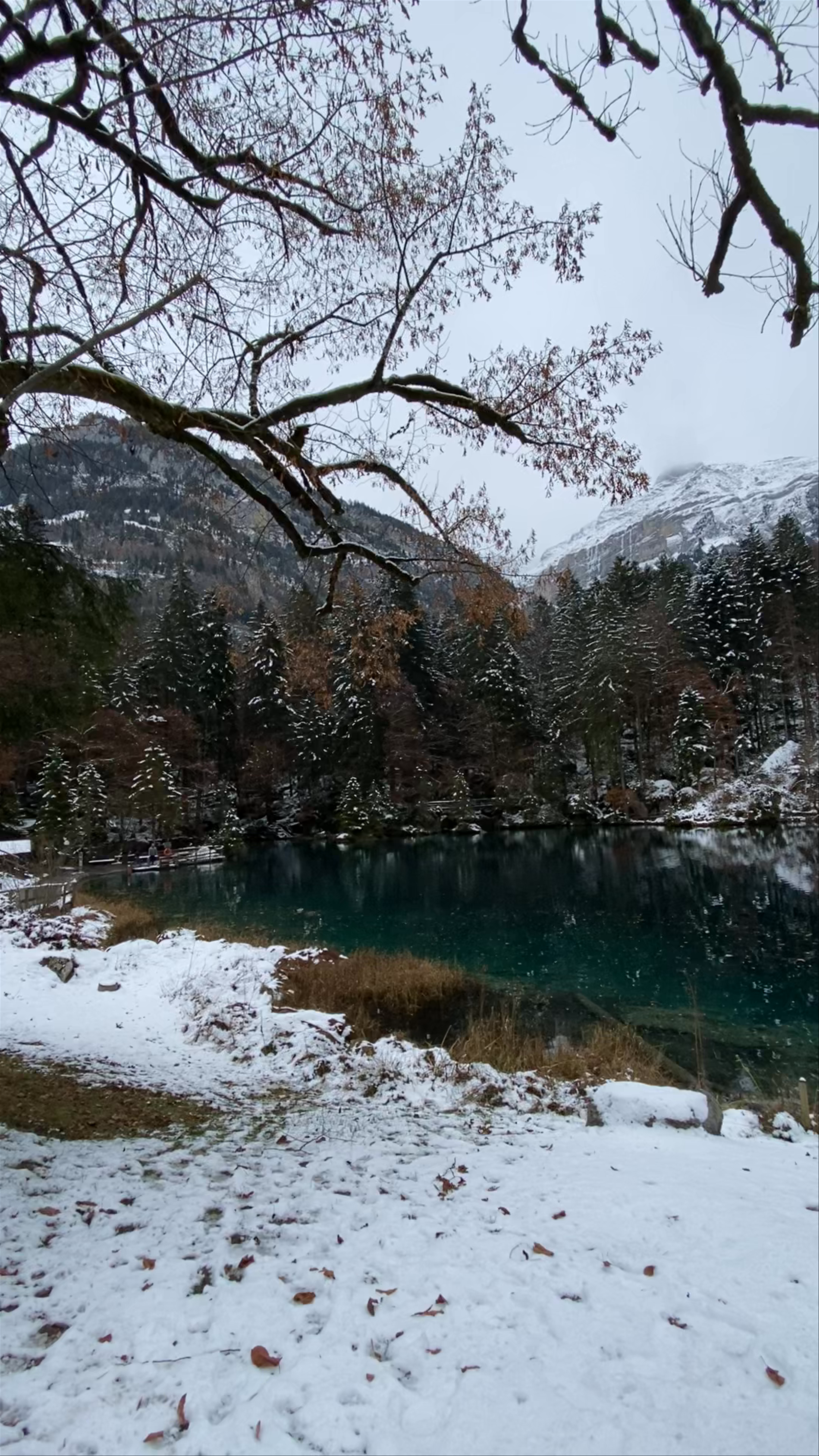 Winter Wonderland at Blausee Hotel & Spa, Switzerland