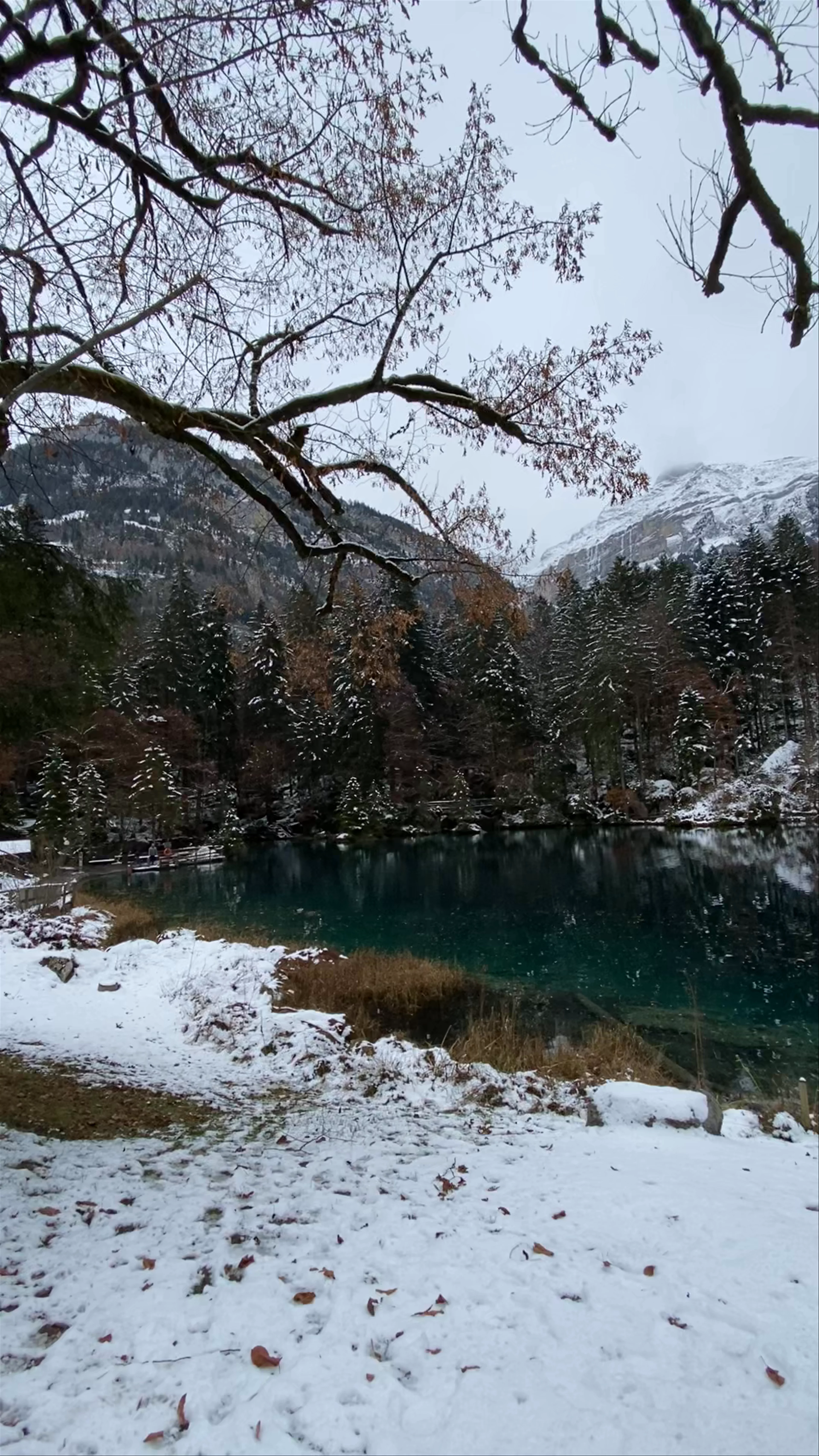 Blausee Hotel & Spa