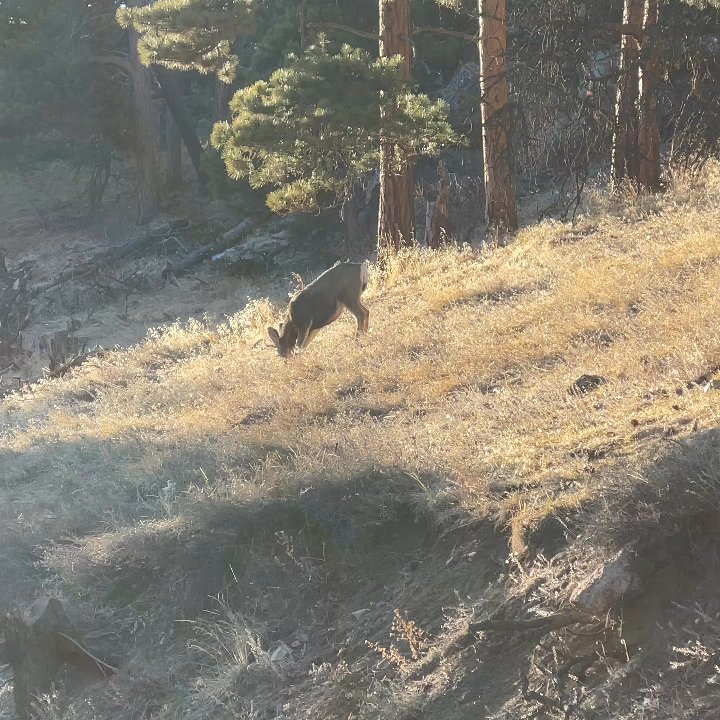 Flagstaff Mountain - Parks Near Me - Boulder, Colorado
