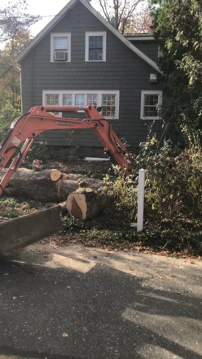 Tree Removal by Tom Mathews - Tree Services Near Me