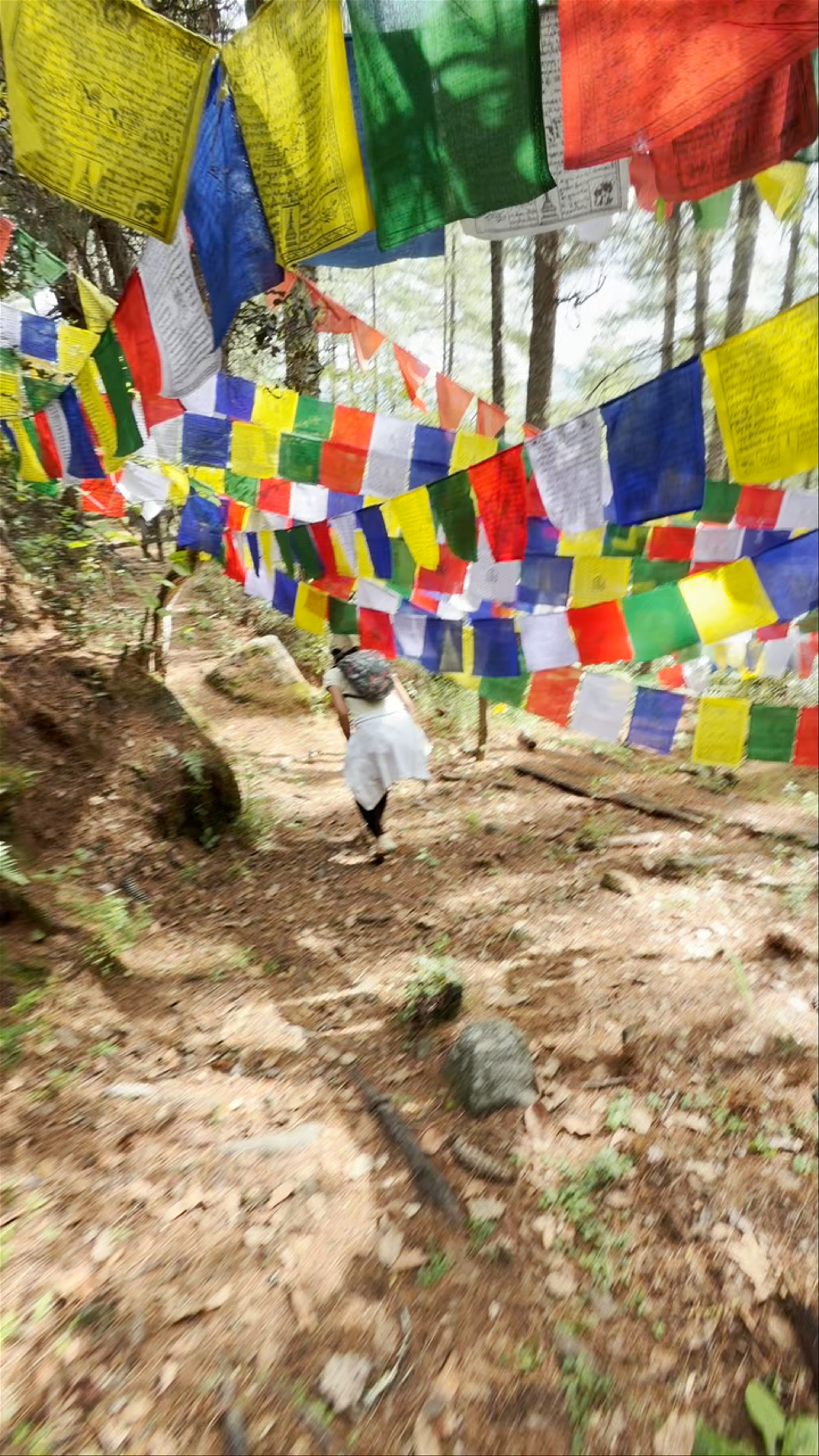 Enchanting Trek Through Colorful Prayer Flags at Taktsang Gompa Hiking Trailhead, Bhutan